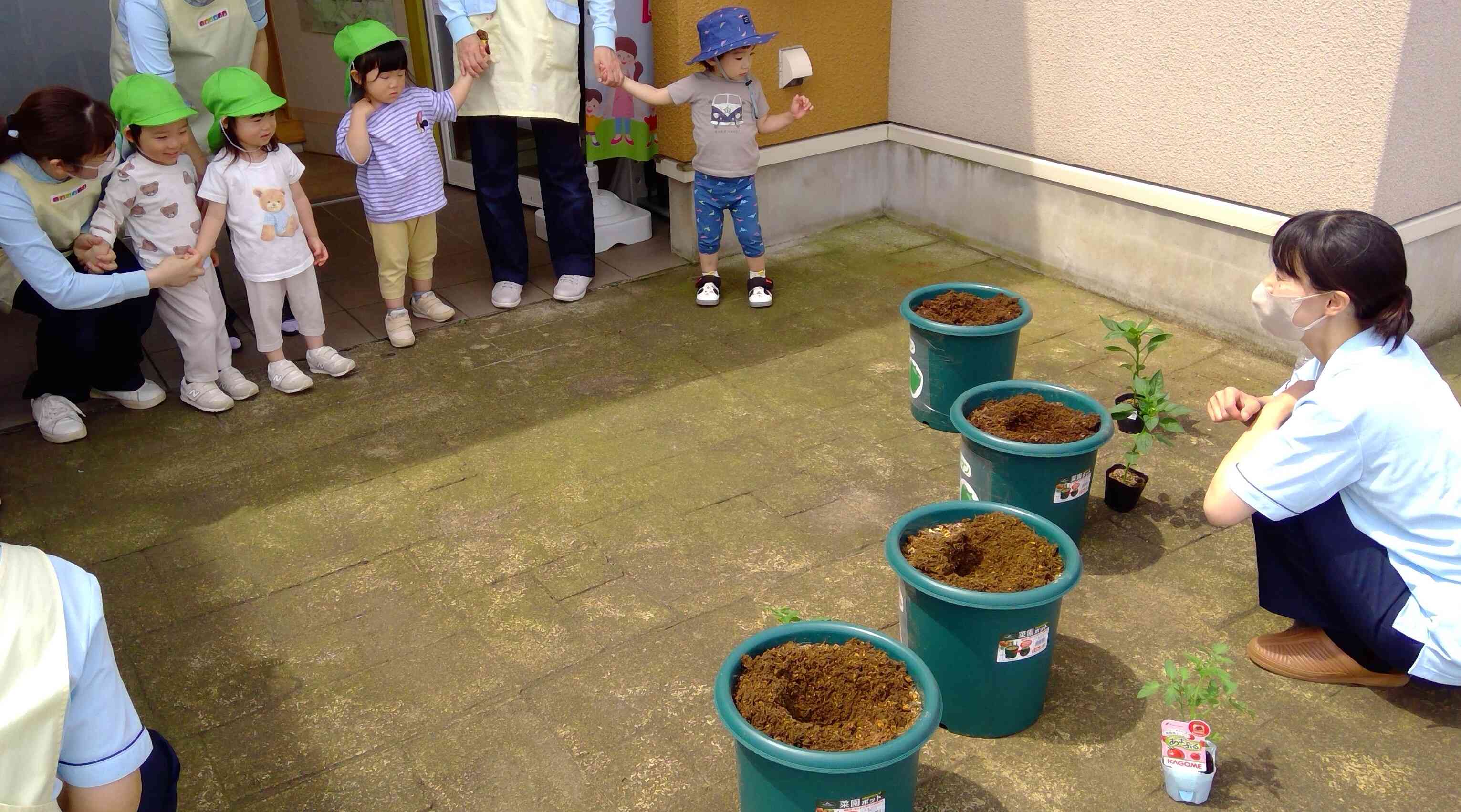 今年の野菜はなんだろう?