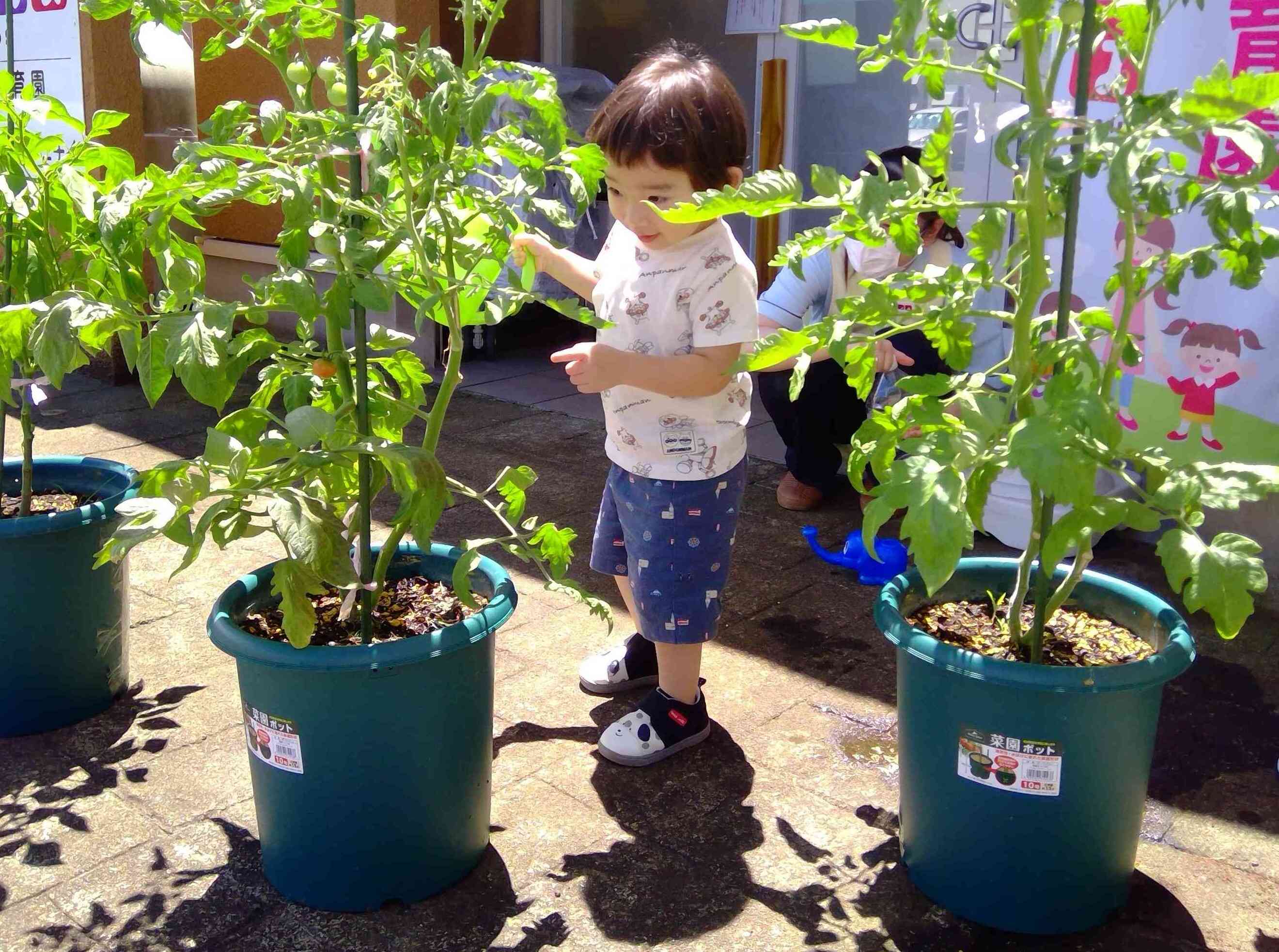みんな大きくな～れ～！水やりのお手伝いも頑張ったね！