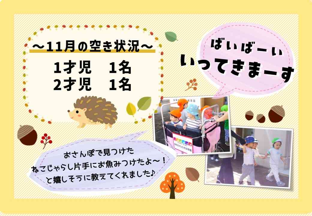 園児募集中です♪お気軽にお問合せください♪