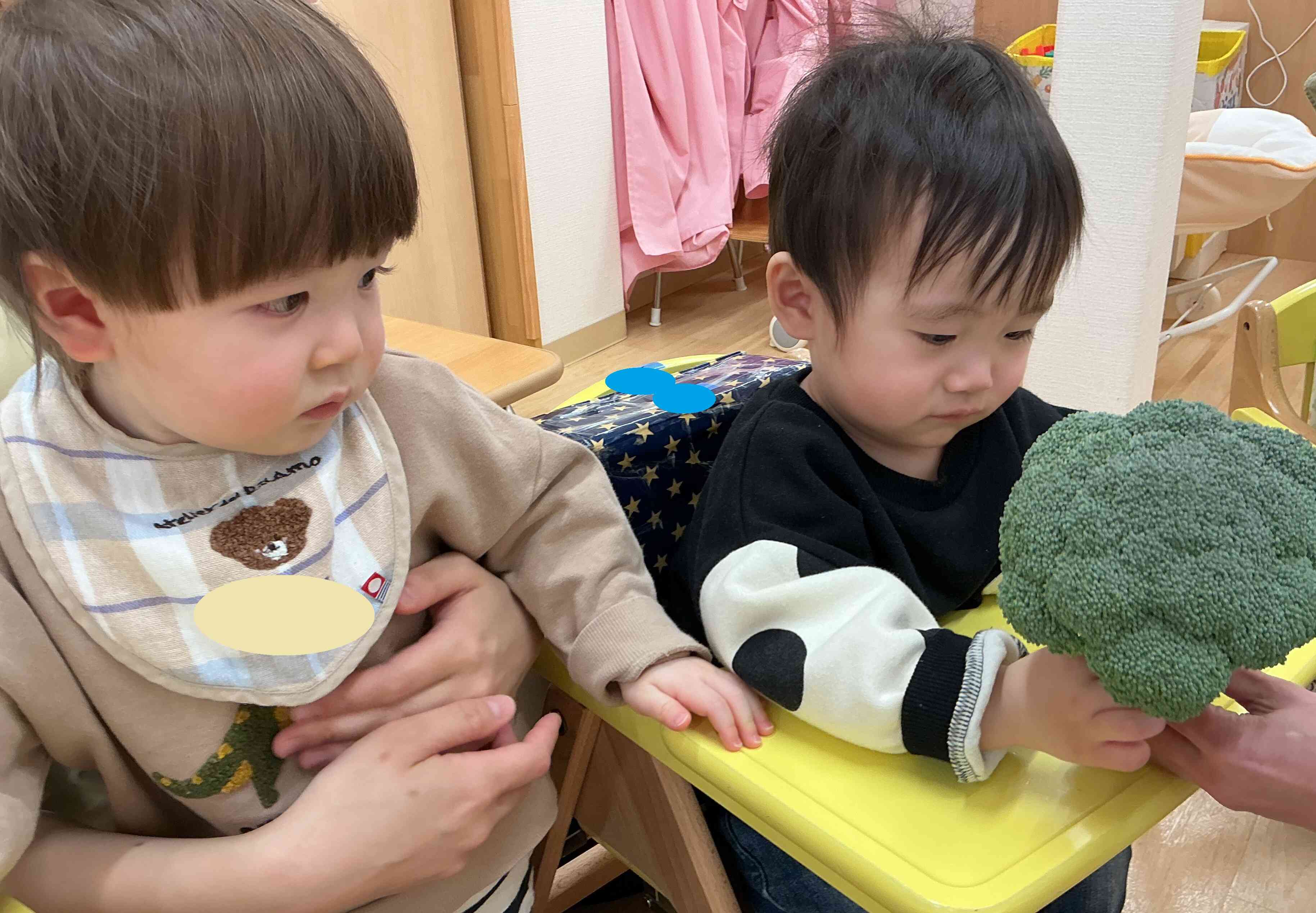 お野菜さわってみよう！