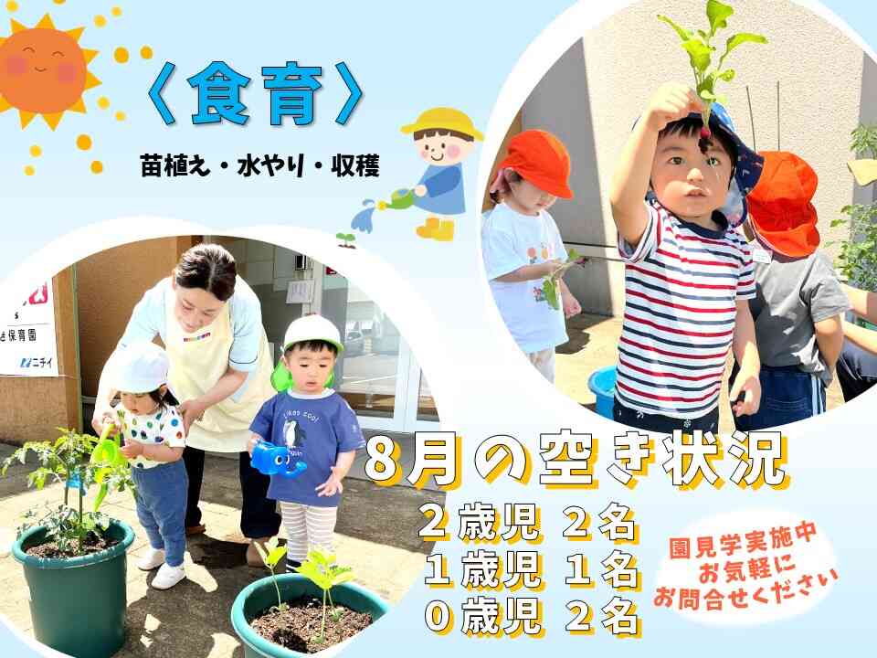 ～食育活動の様子～トマト・えだまめ・二十日大根を植えました♪毎日水やりをして、収穫をすることができました♪