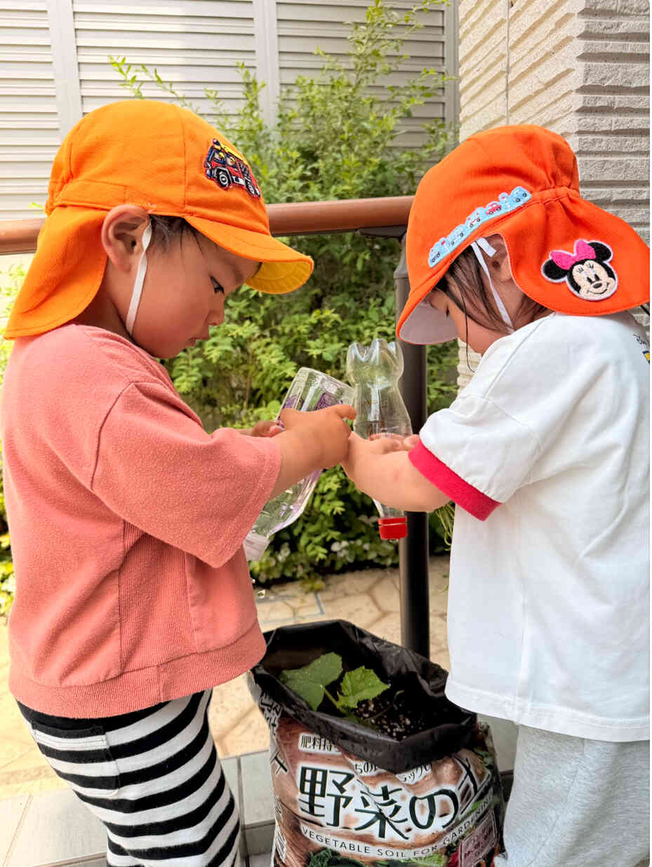 大きくなぁれ⭐︎