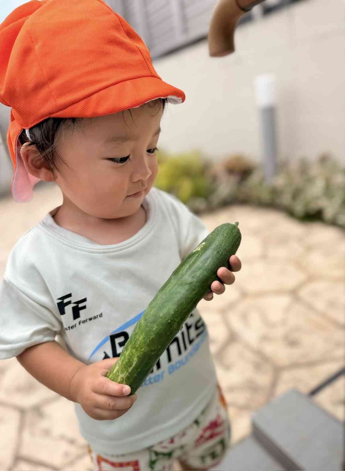 あひる組のこどもたちもきゅうりをとらせてもらいました!