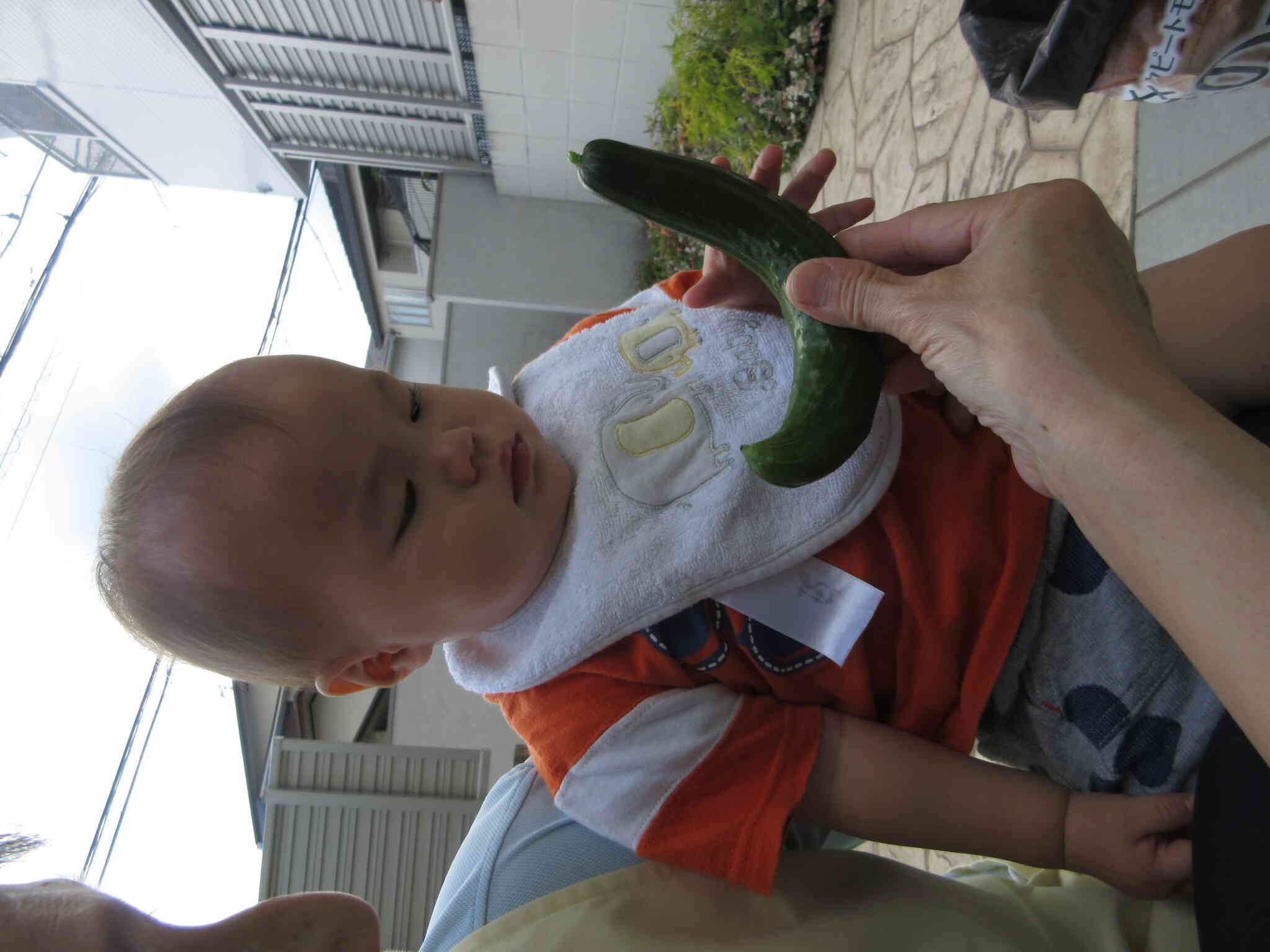 きゅうりに興味津々な様子です★