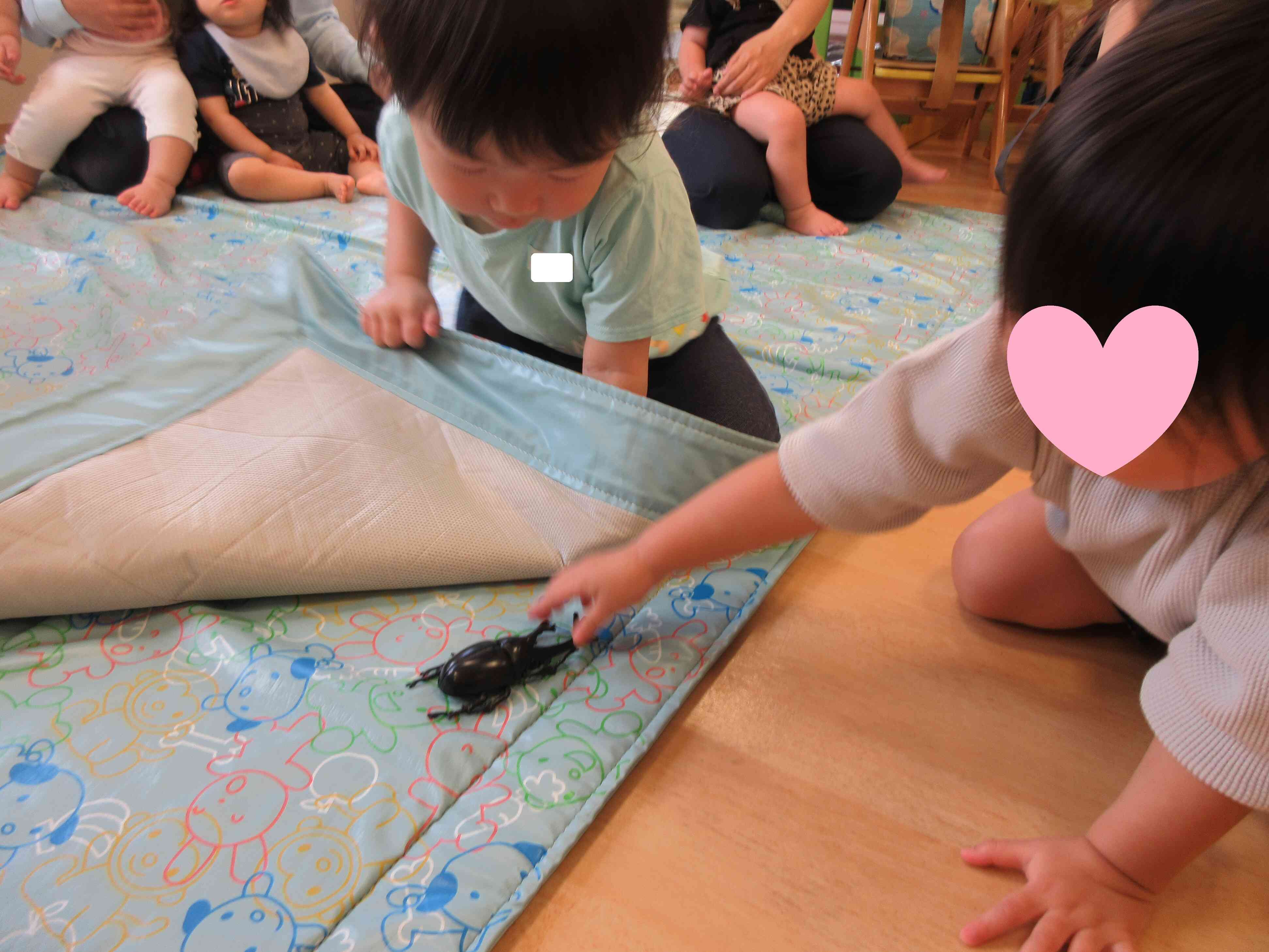 カブトムシはっけ~ん!!