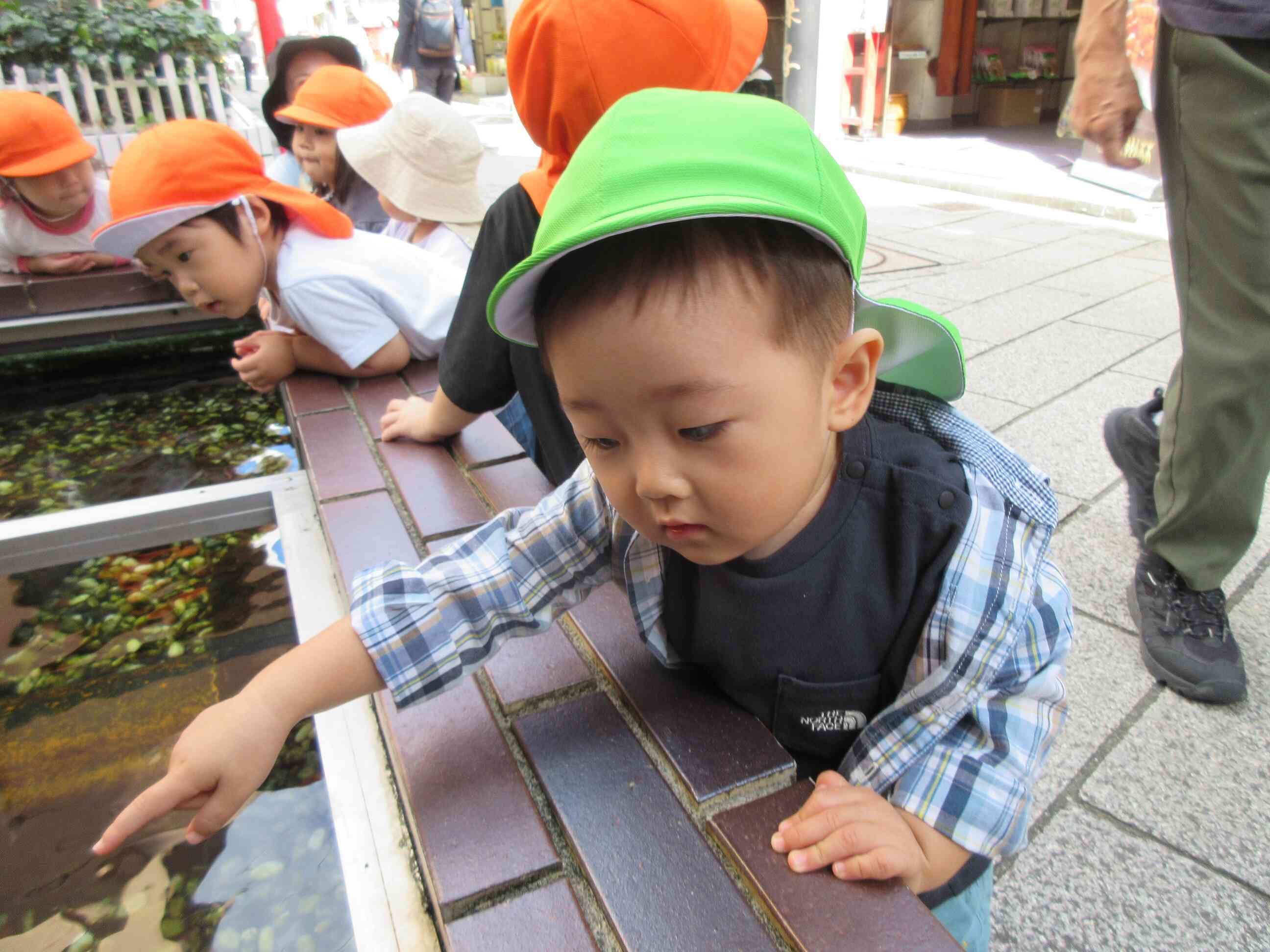 鯉みーつけた☆