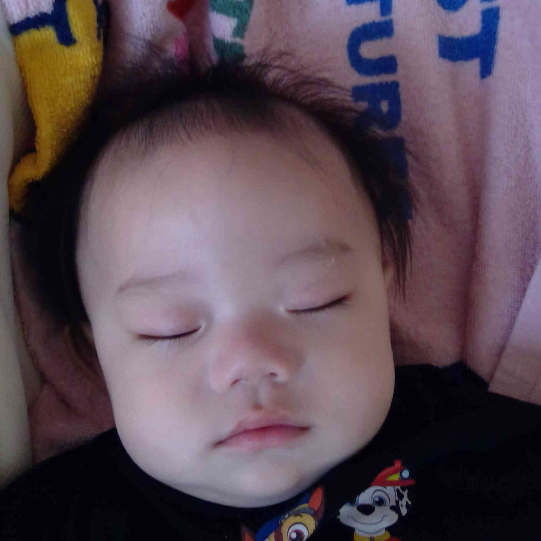 どんな夢を見てるのかなぁ☆