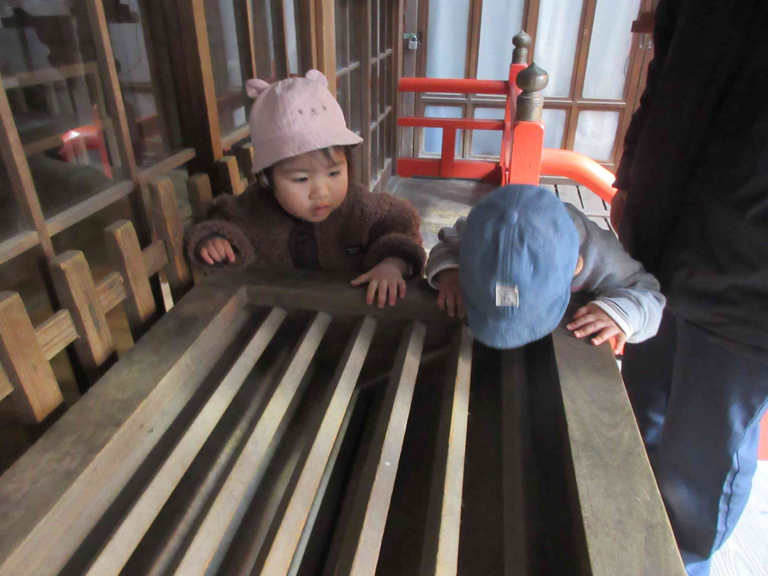 僕のお賽銭ちゃんと入ったかな???