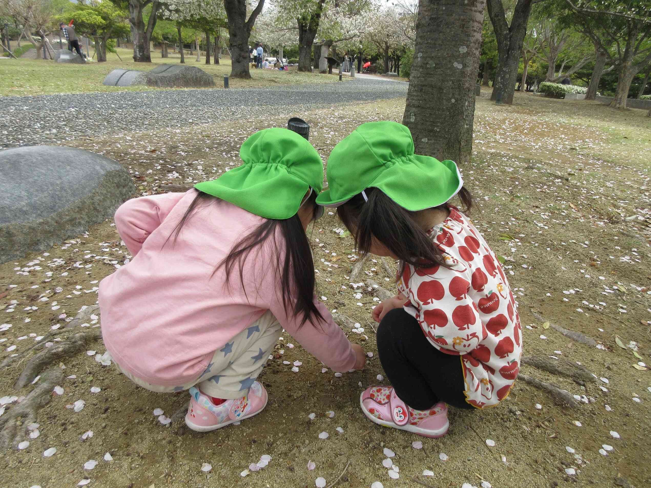 何があるのかな？