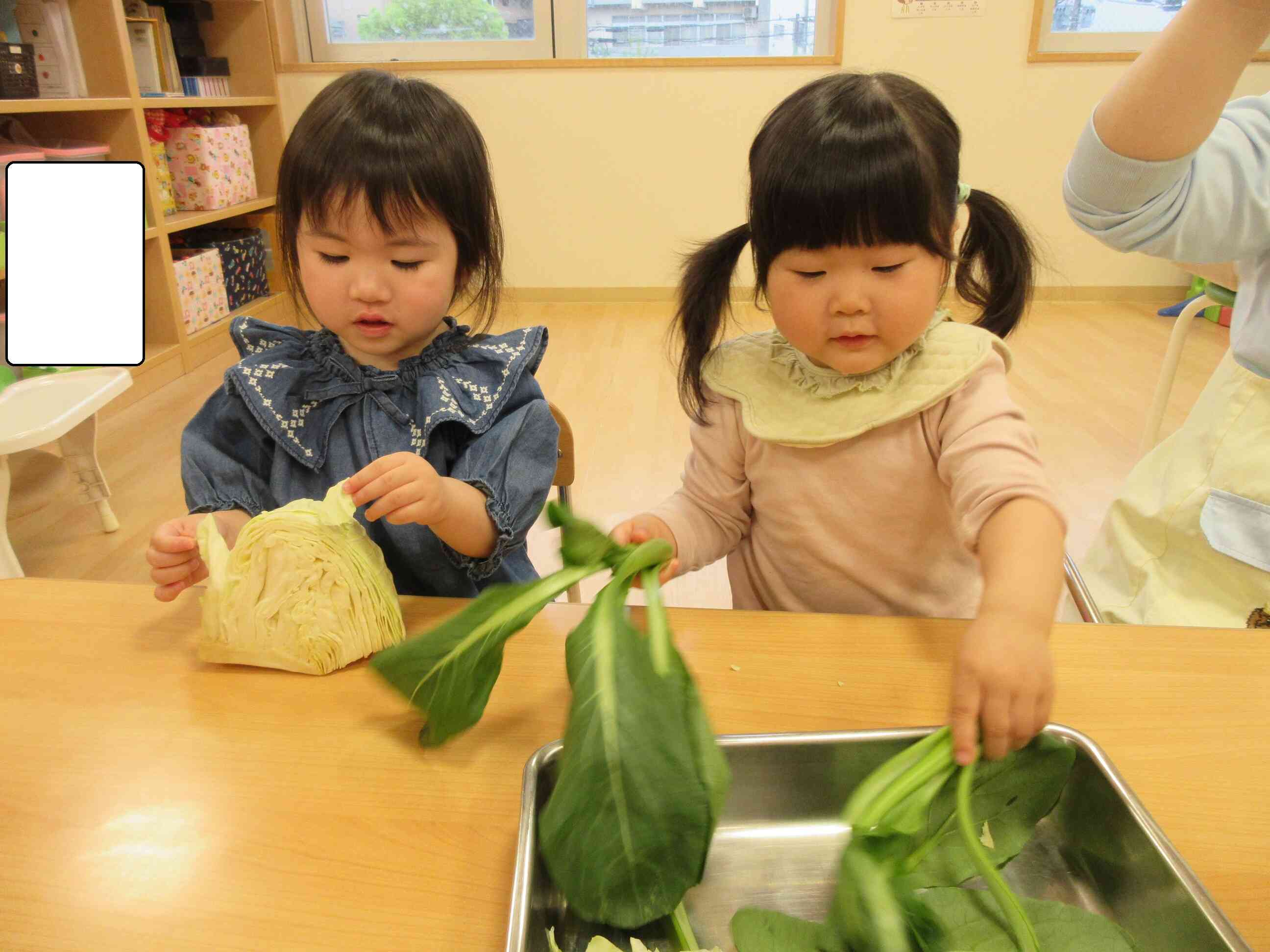 野菜と果物に触れよう！