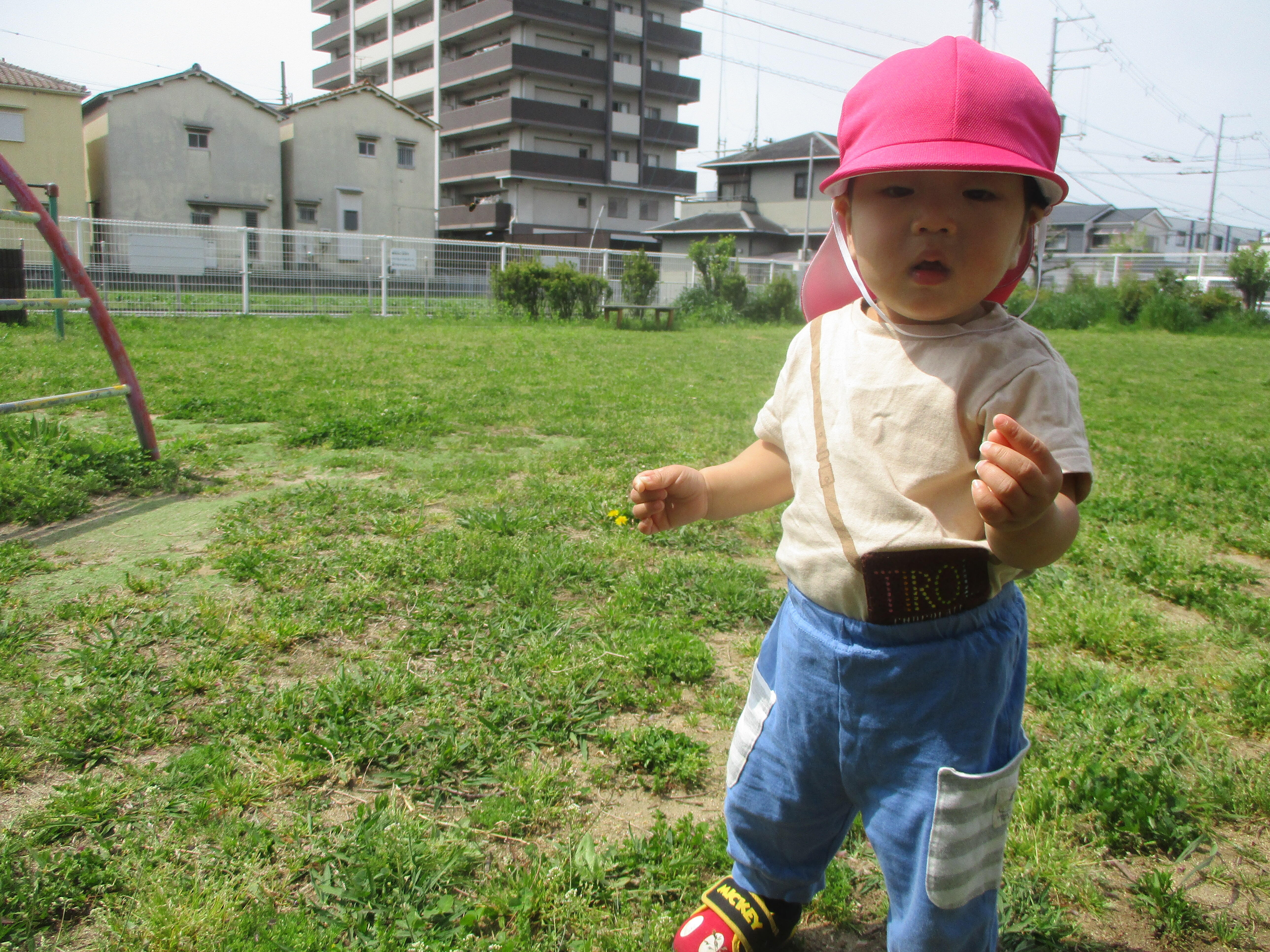 じゃーん！お花見つけたよ♪