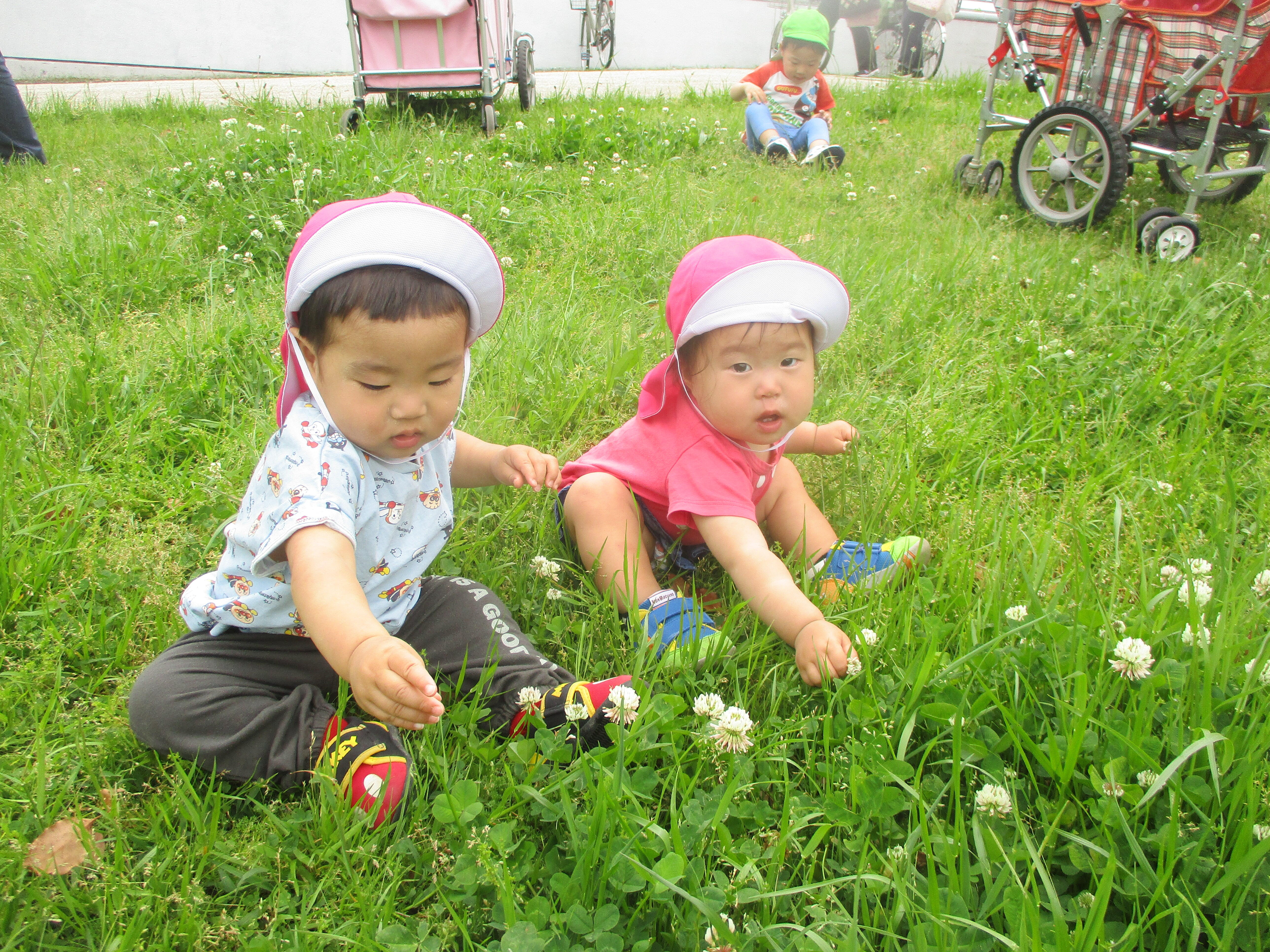 このお花かわいいね！