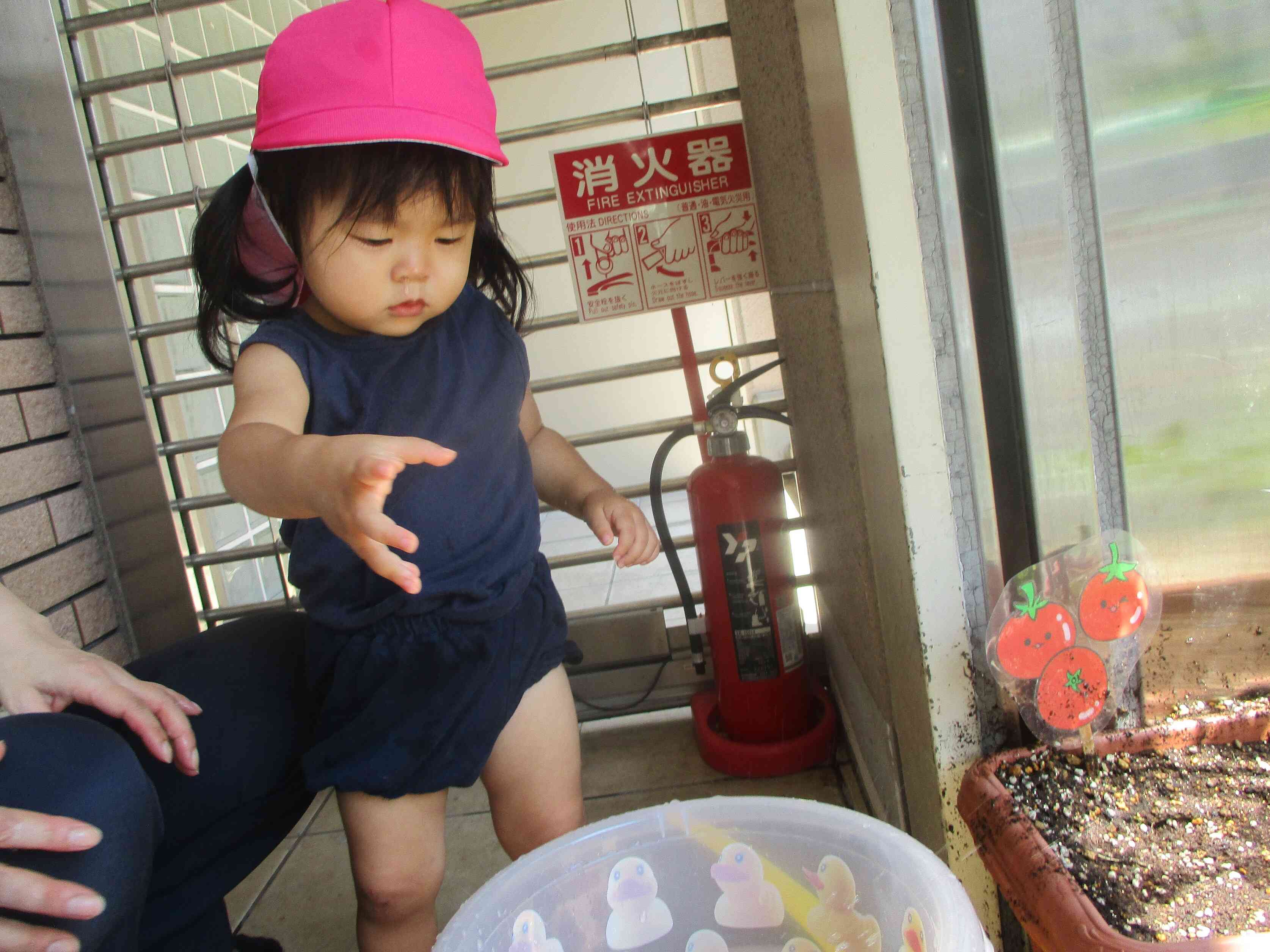 氷を えいっ！！