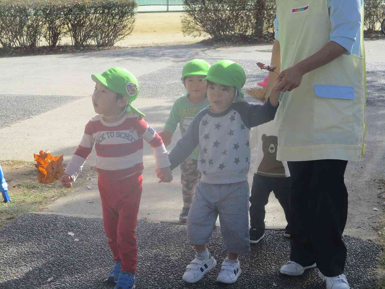 お散歩に行ったよ！