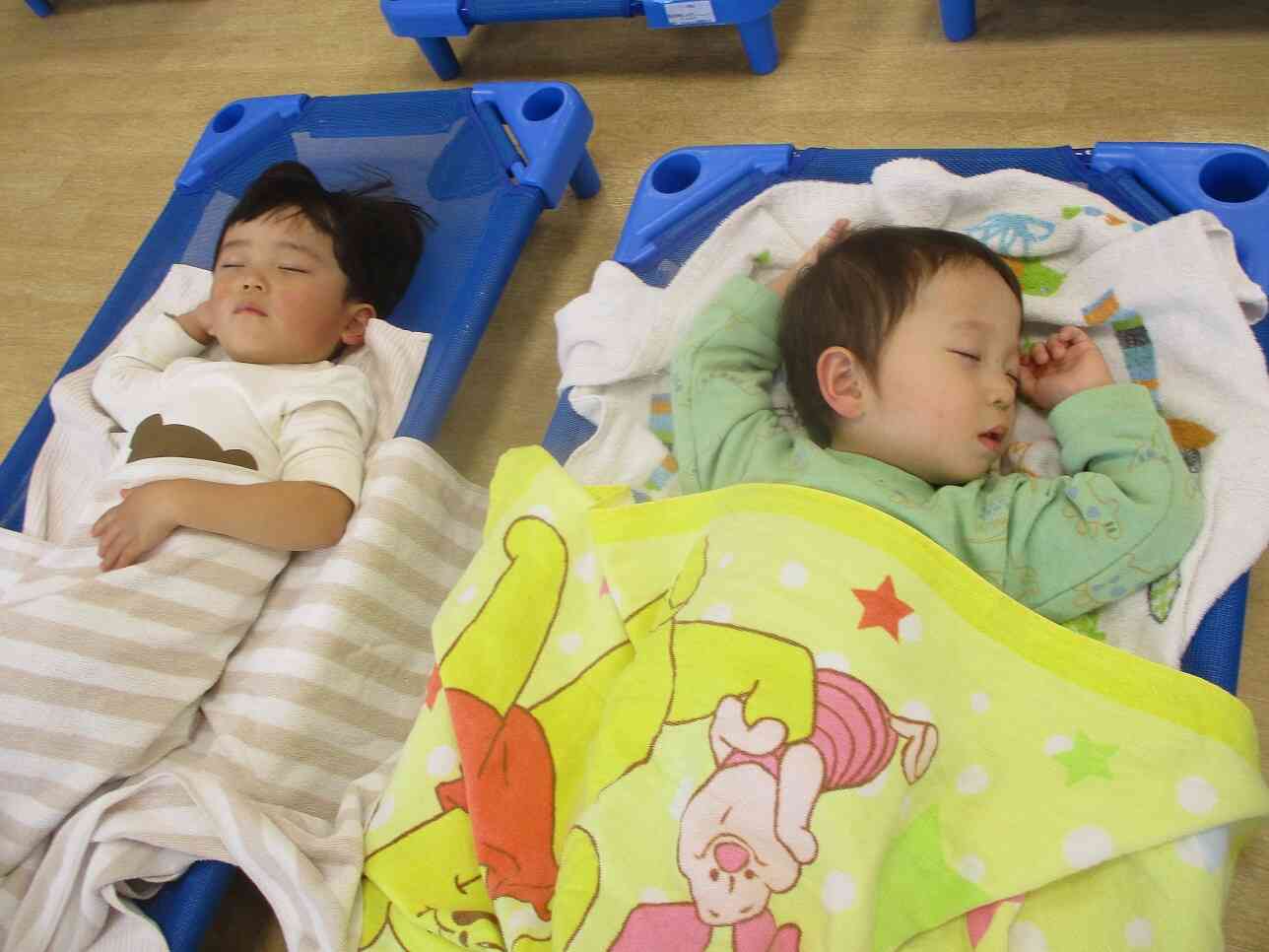 今日はお散歩に出かけたよ！