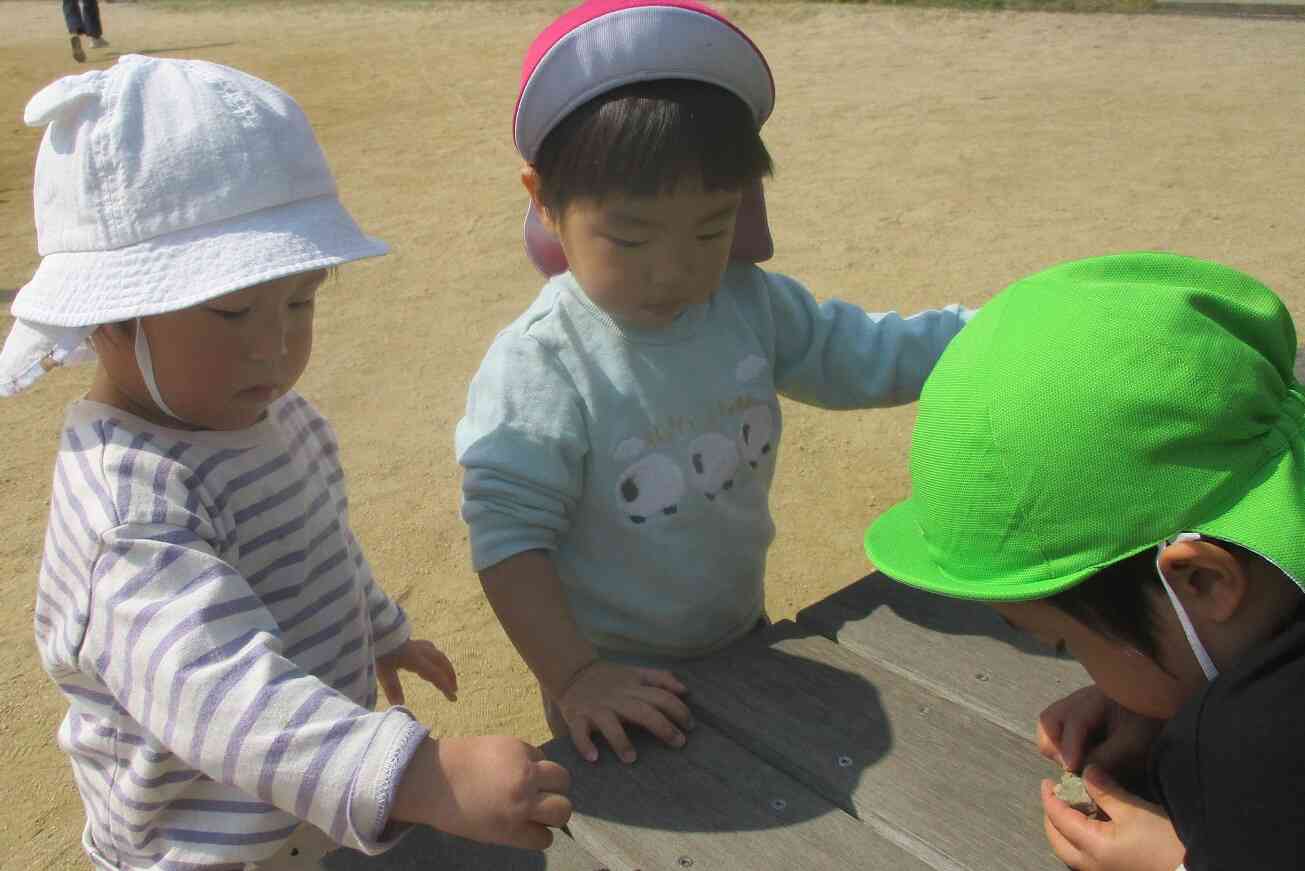 これはなんだろう？