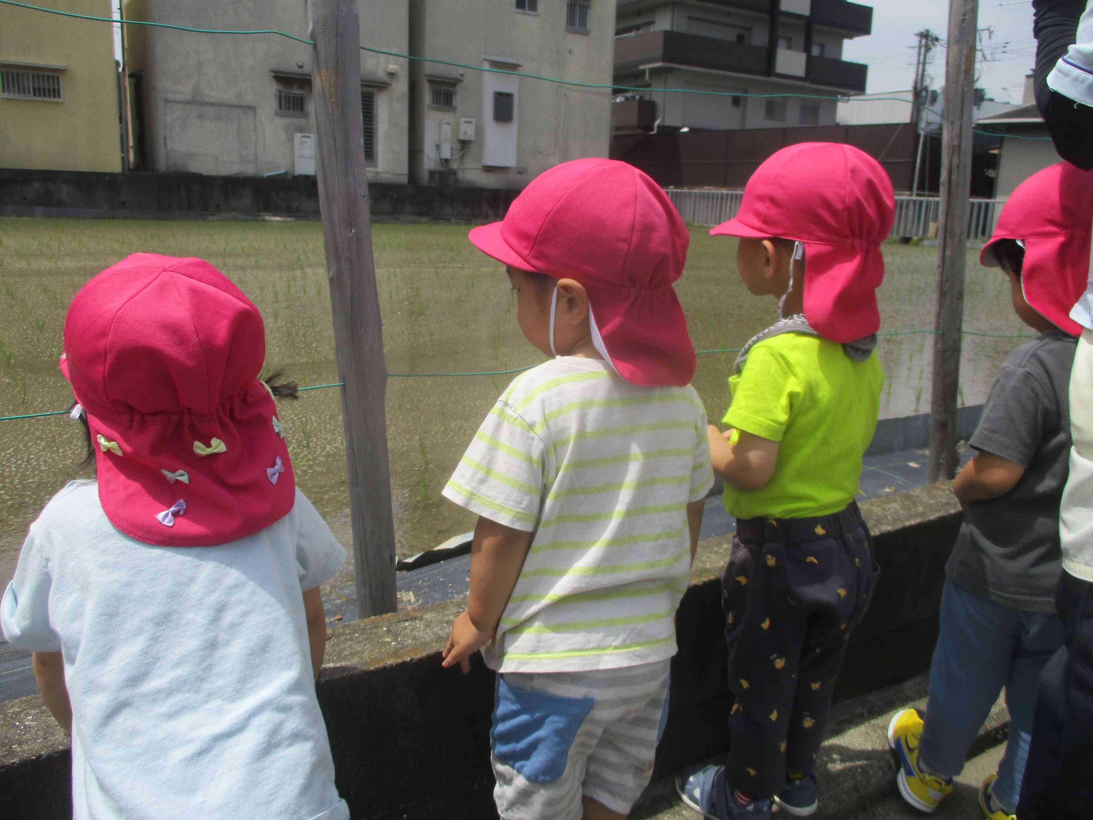 今日も沢山遊んだよ～☆