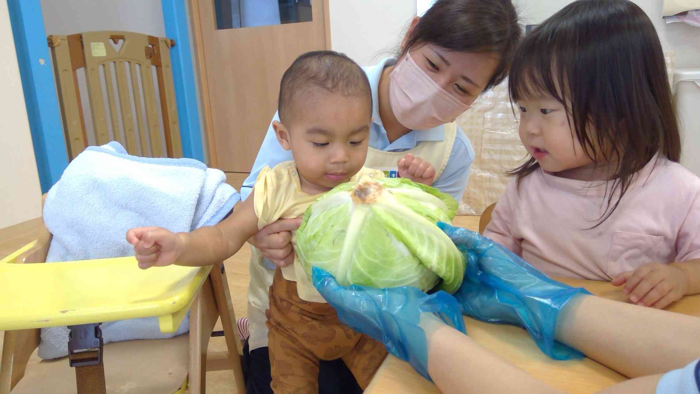 大きなキャベツだね☆
