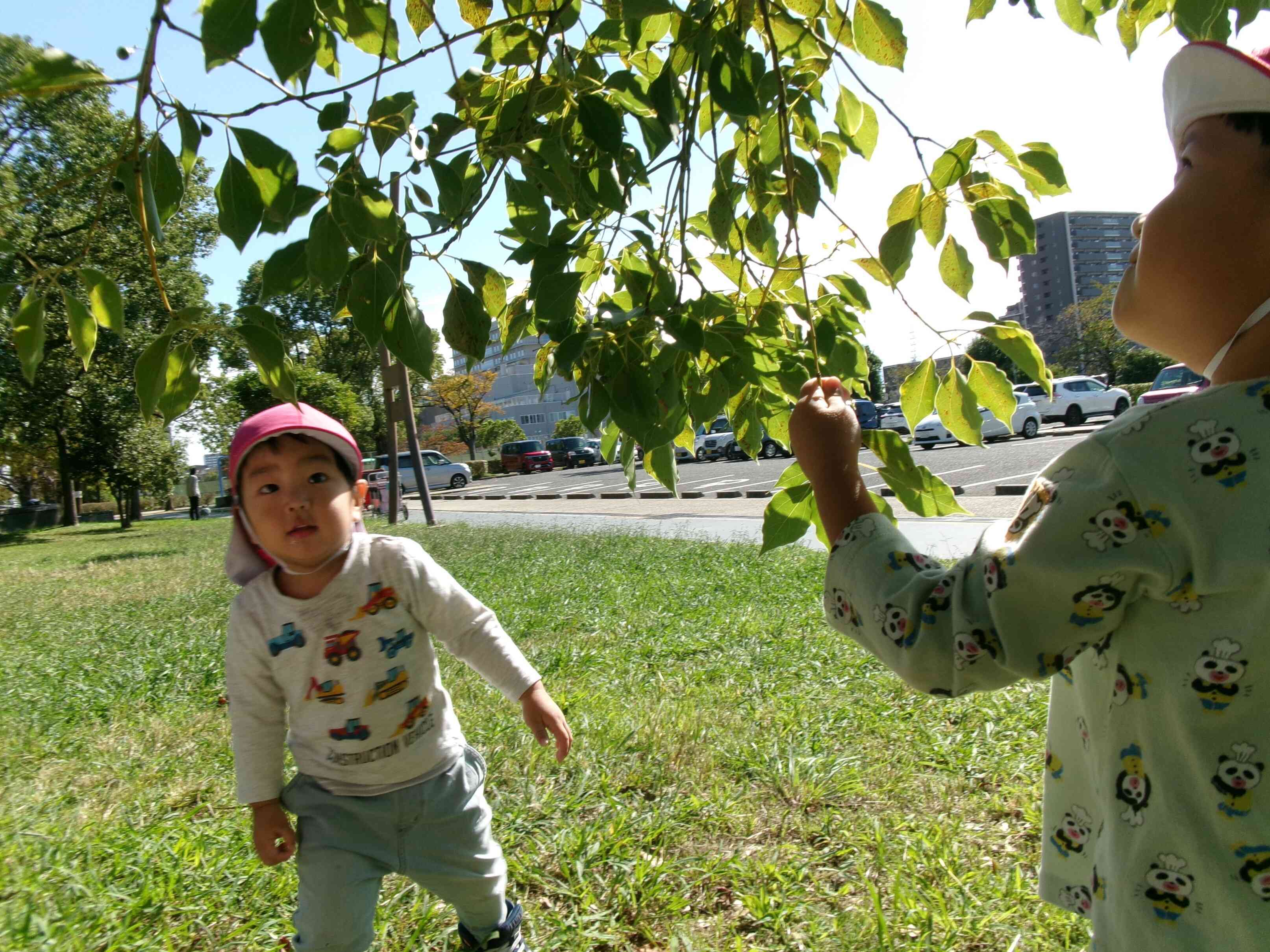 お散歩に出かけました♪