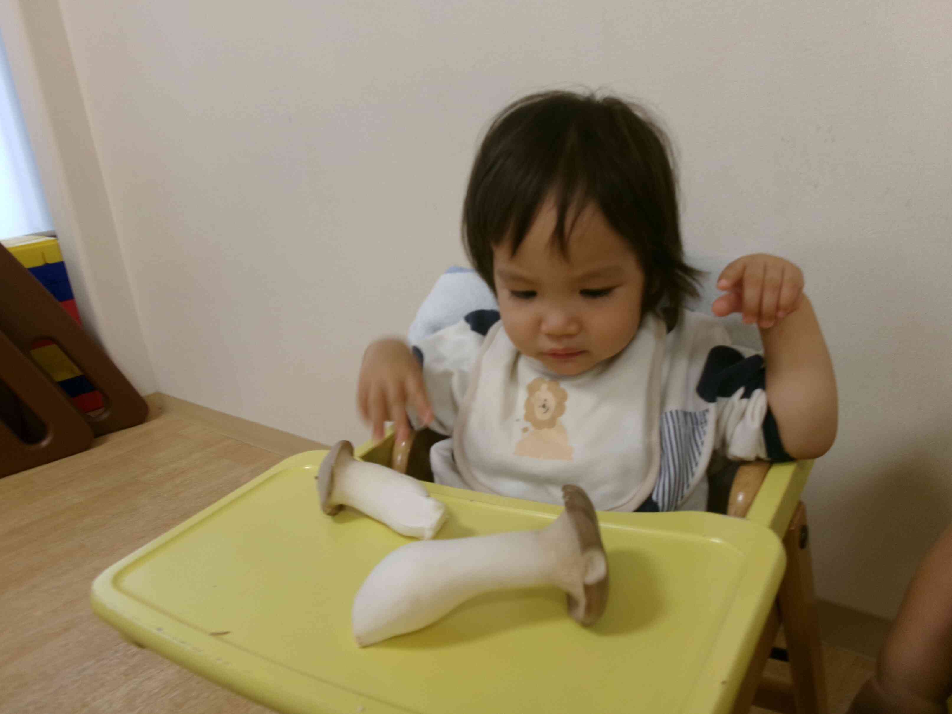 うわー!おおきなエリンギ!