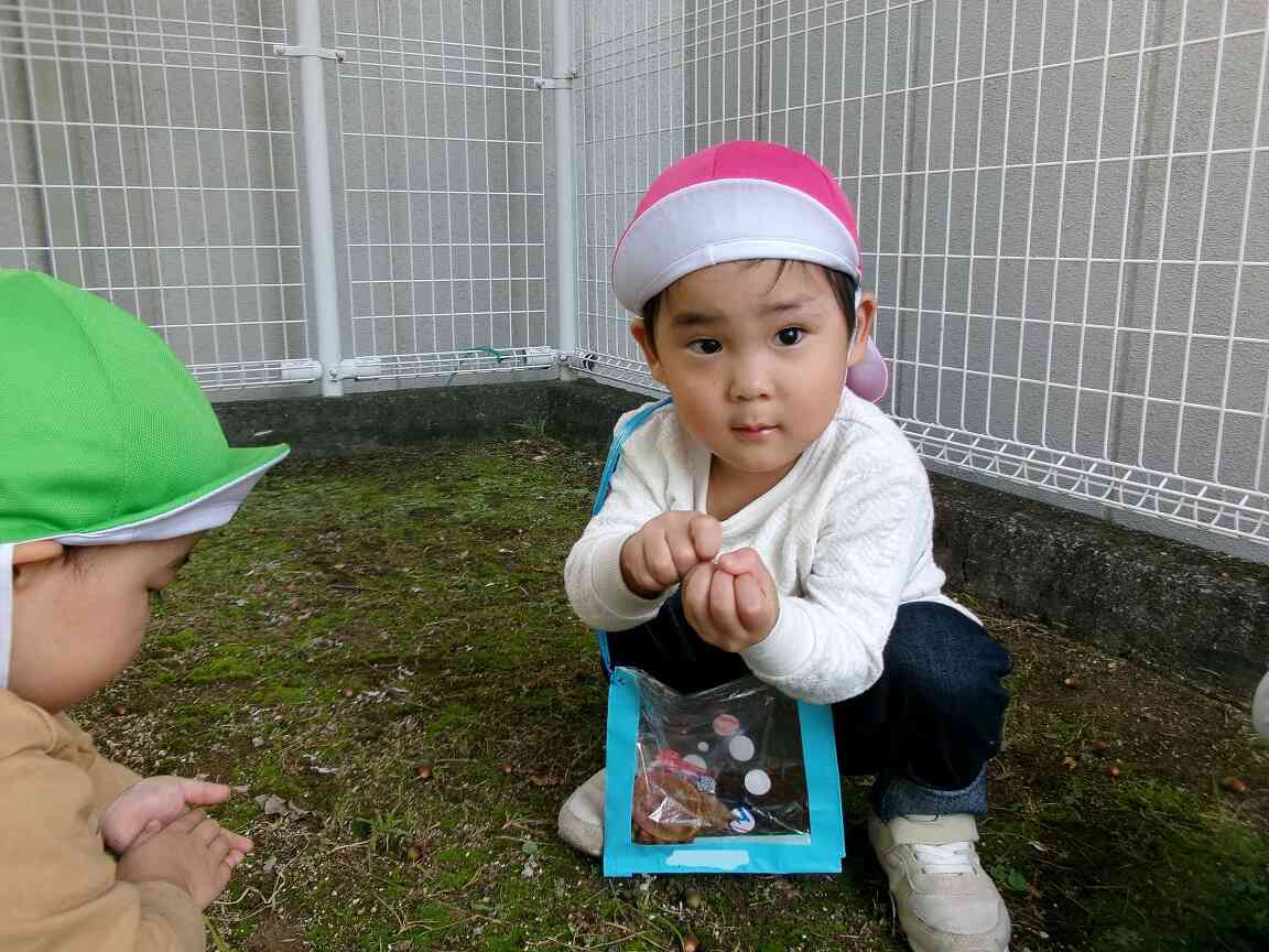 ドングリいっぱい見つけたよ☆