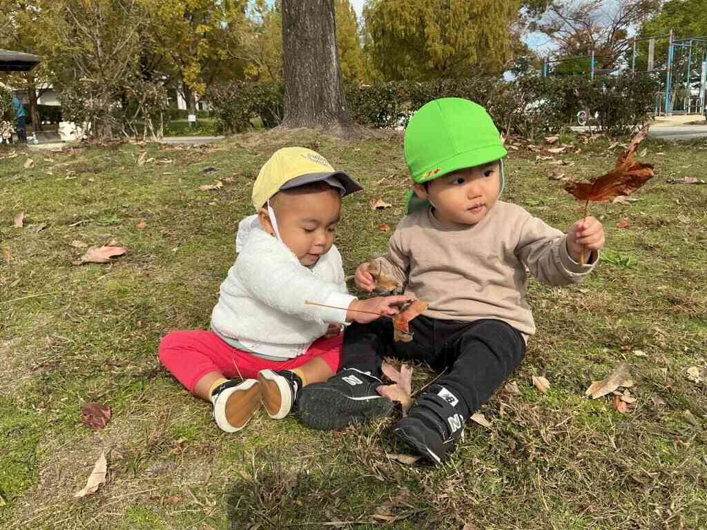 おおきな はっぱだね～！