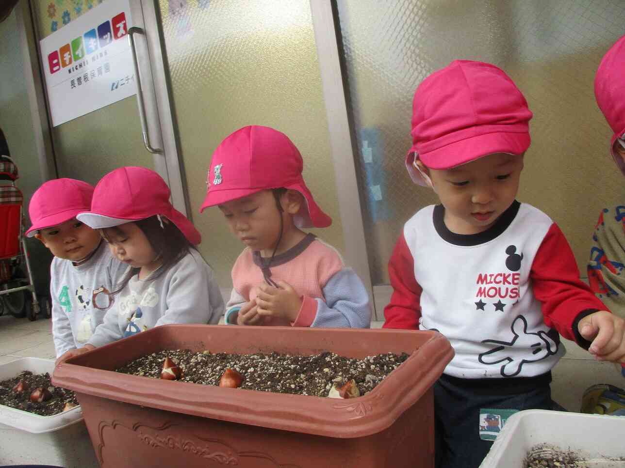 今から植えるよ~