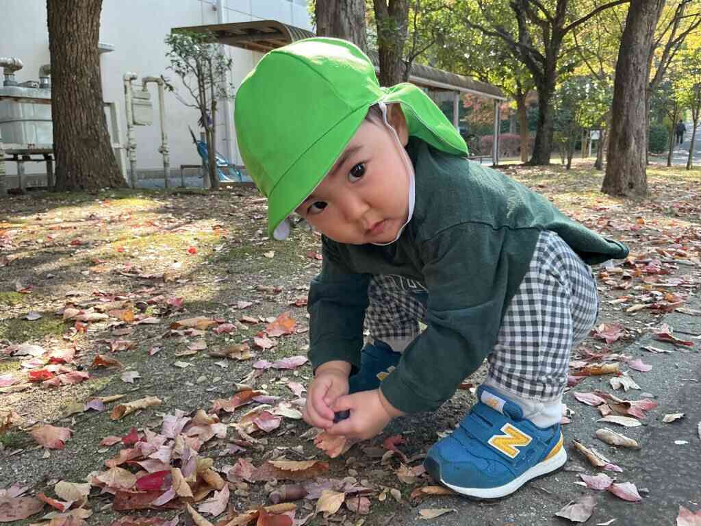 ドングリみ~つけた!