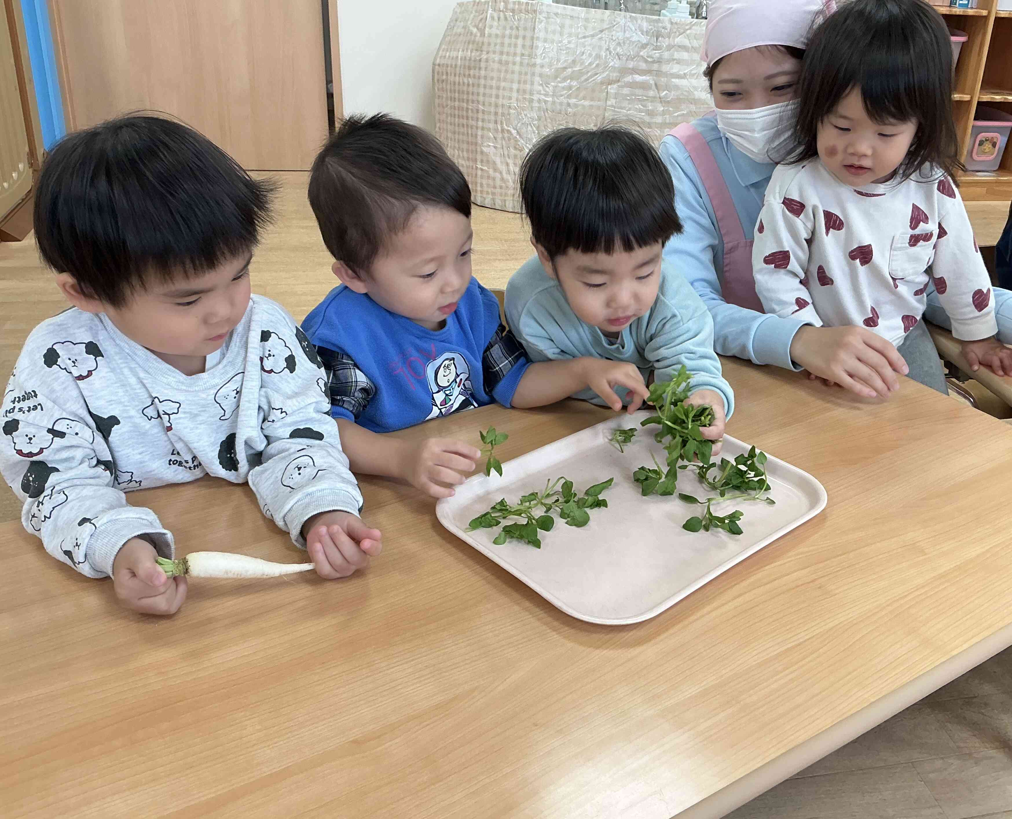 わぁ〜！すごいね〜！