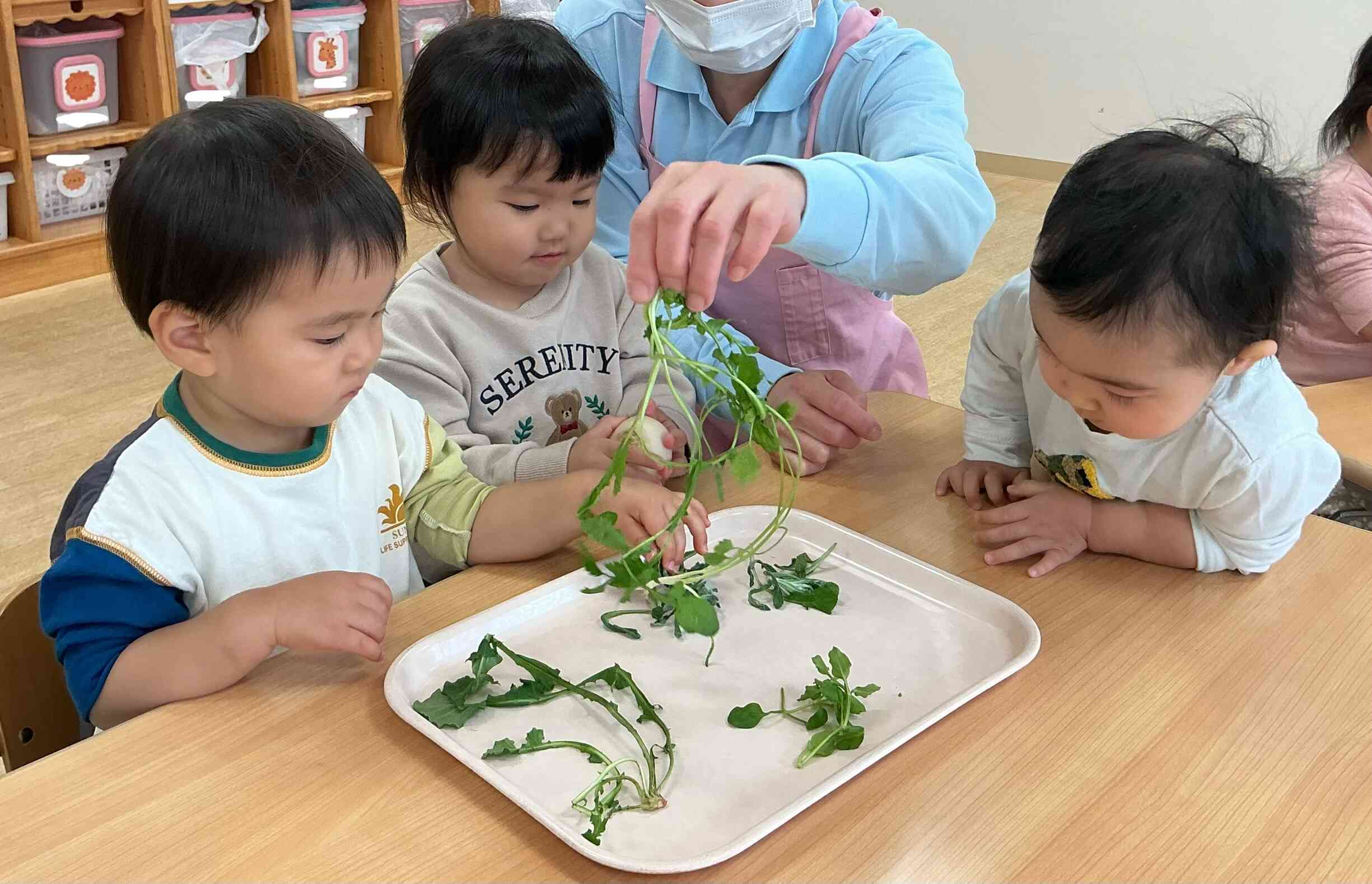 なにこれ〜！？