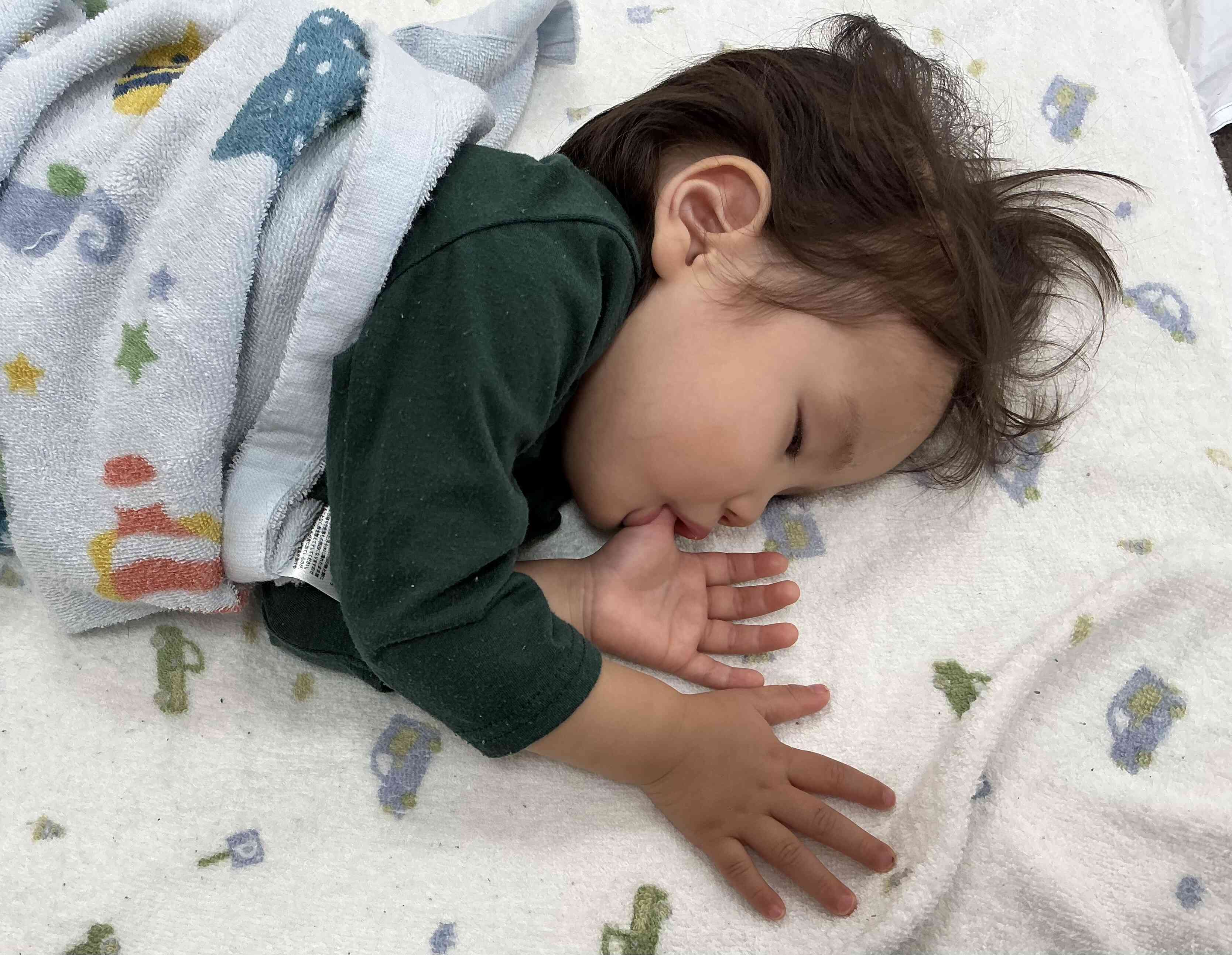 いっぱい遊んでぐっすりです〜