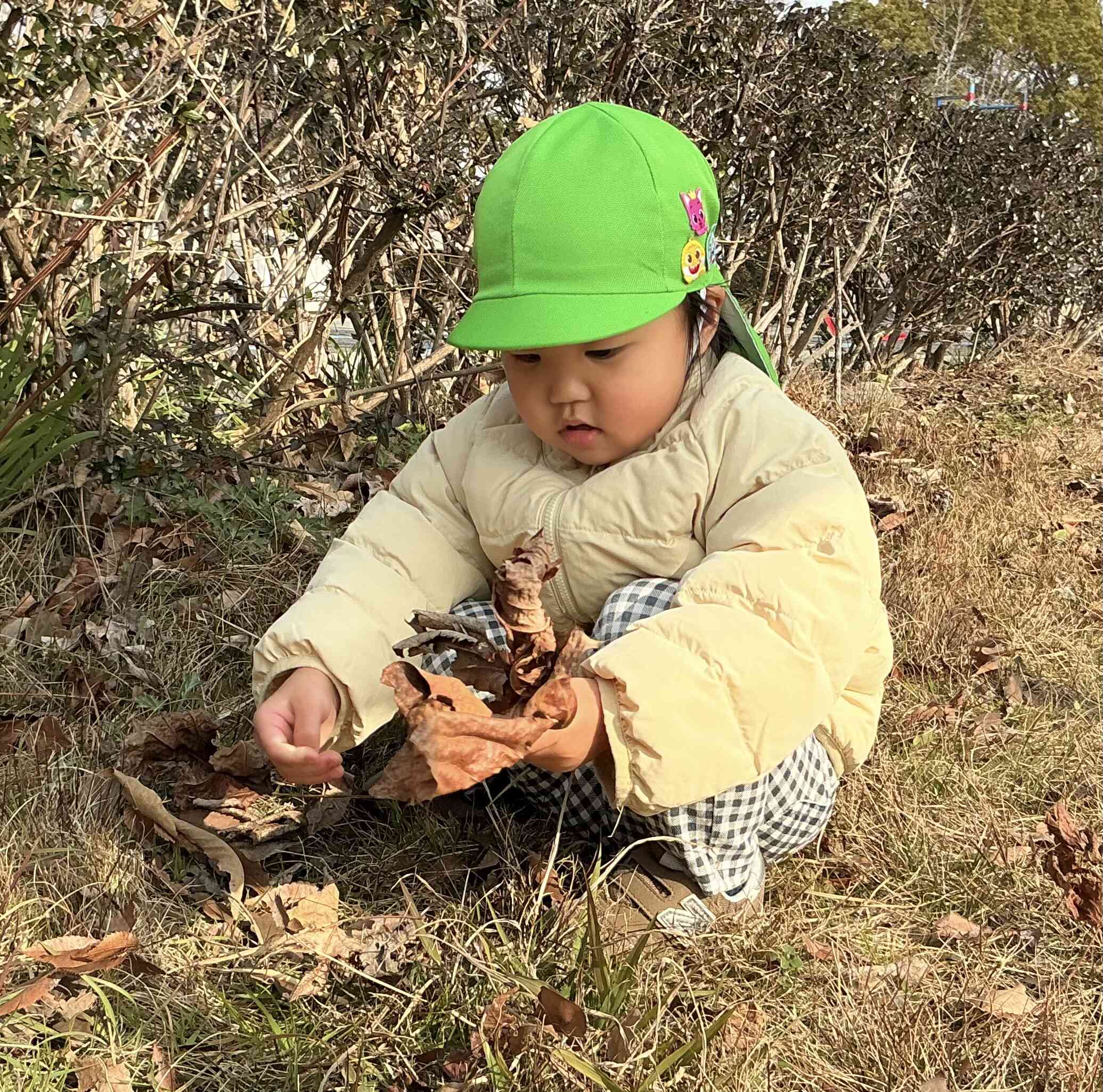 葉っぱ、おおきいね〜!