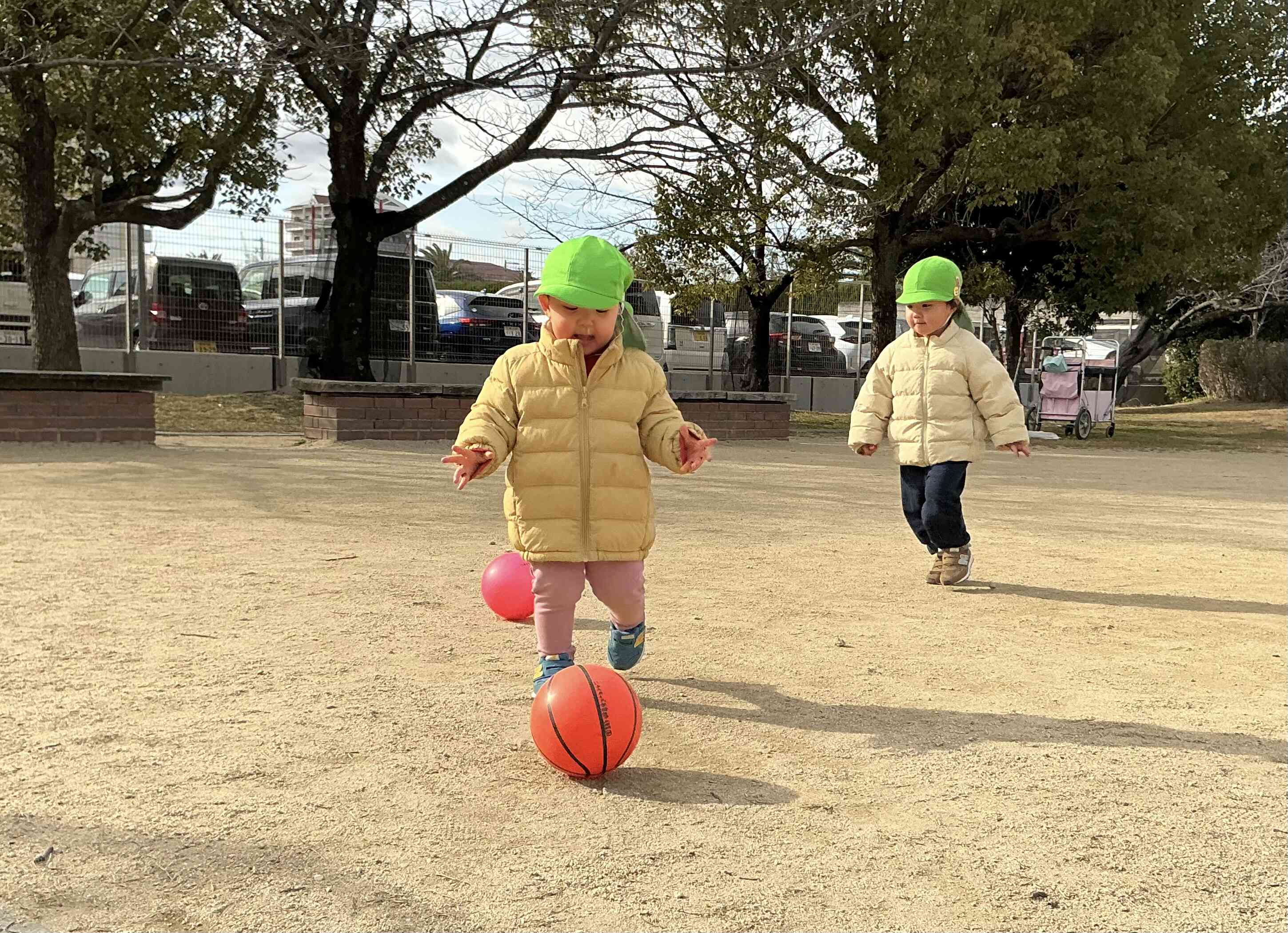 ボールまてまて〜