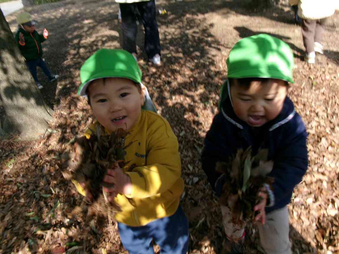 落ち葉が沢山～！