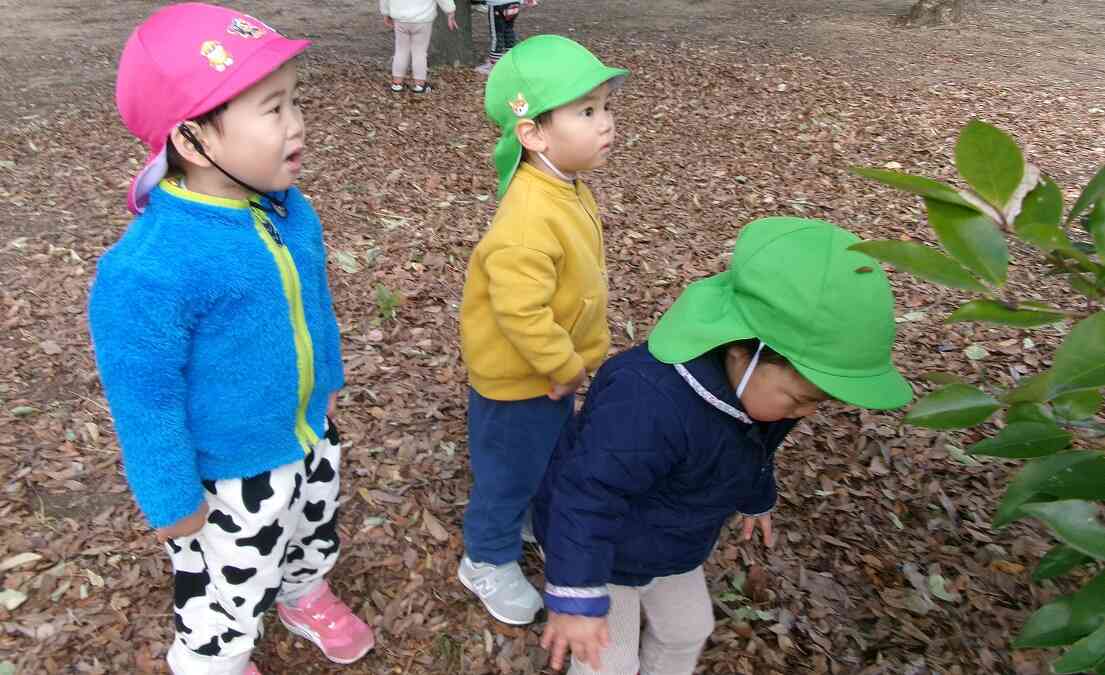 何があるのかな？