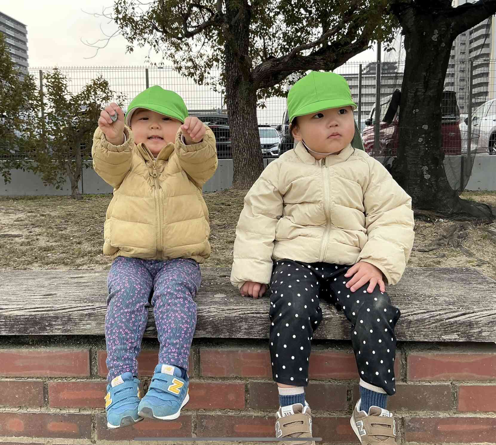 沢山集めたよ〜みてー！