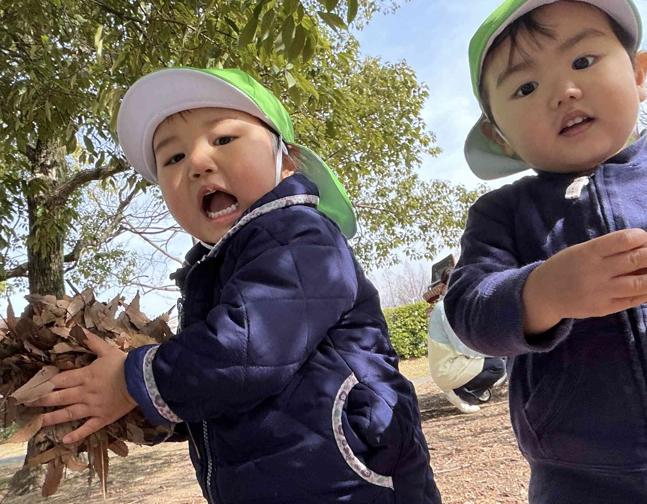 葉っぱいっぱい〜!