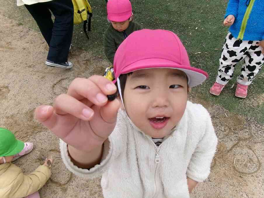 どんぐりみーつけた！