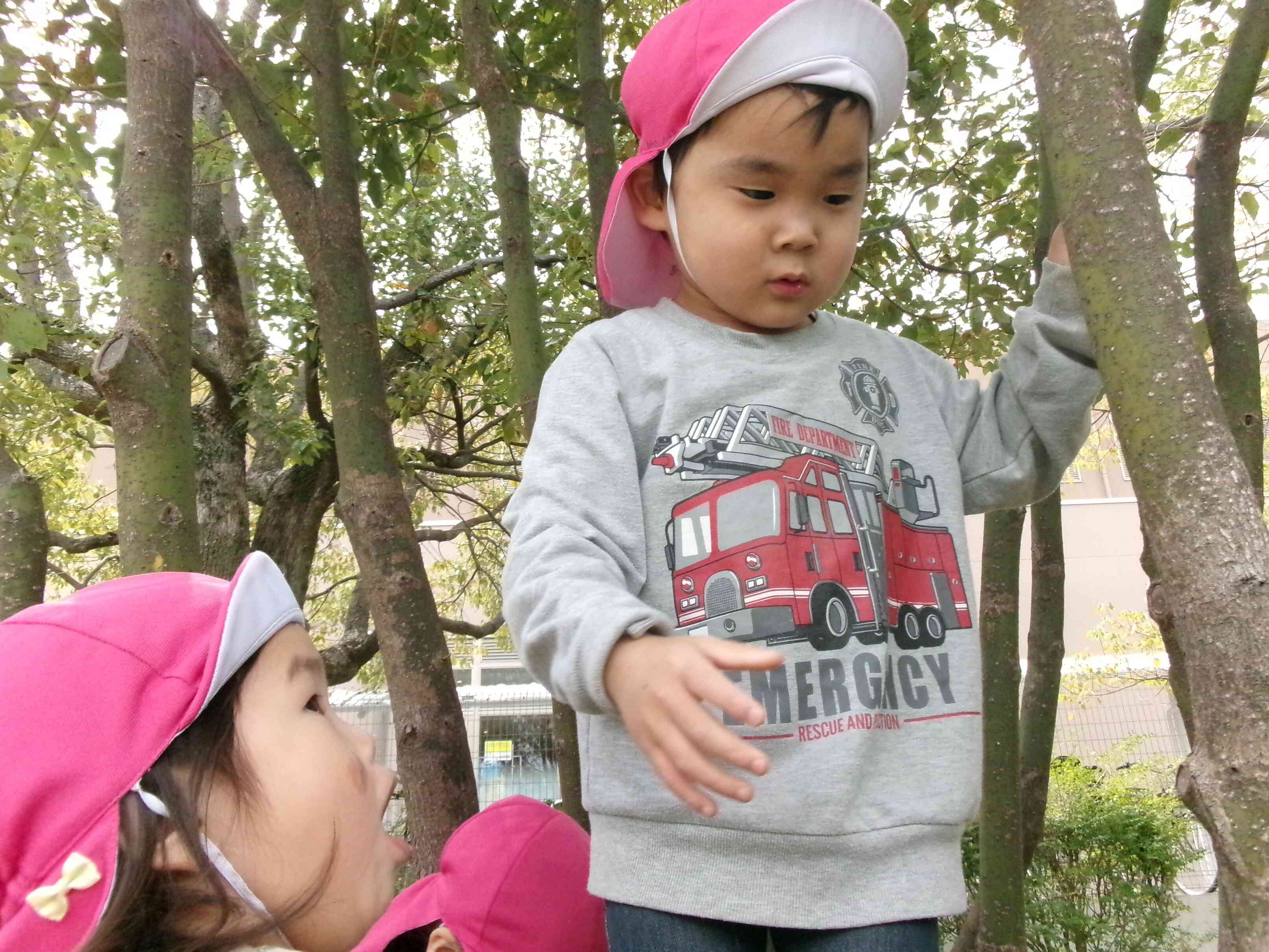 探検隊！しゅっぱーつ！