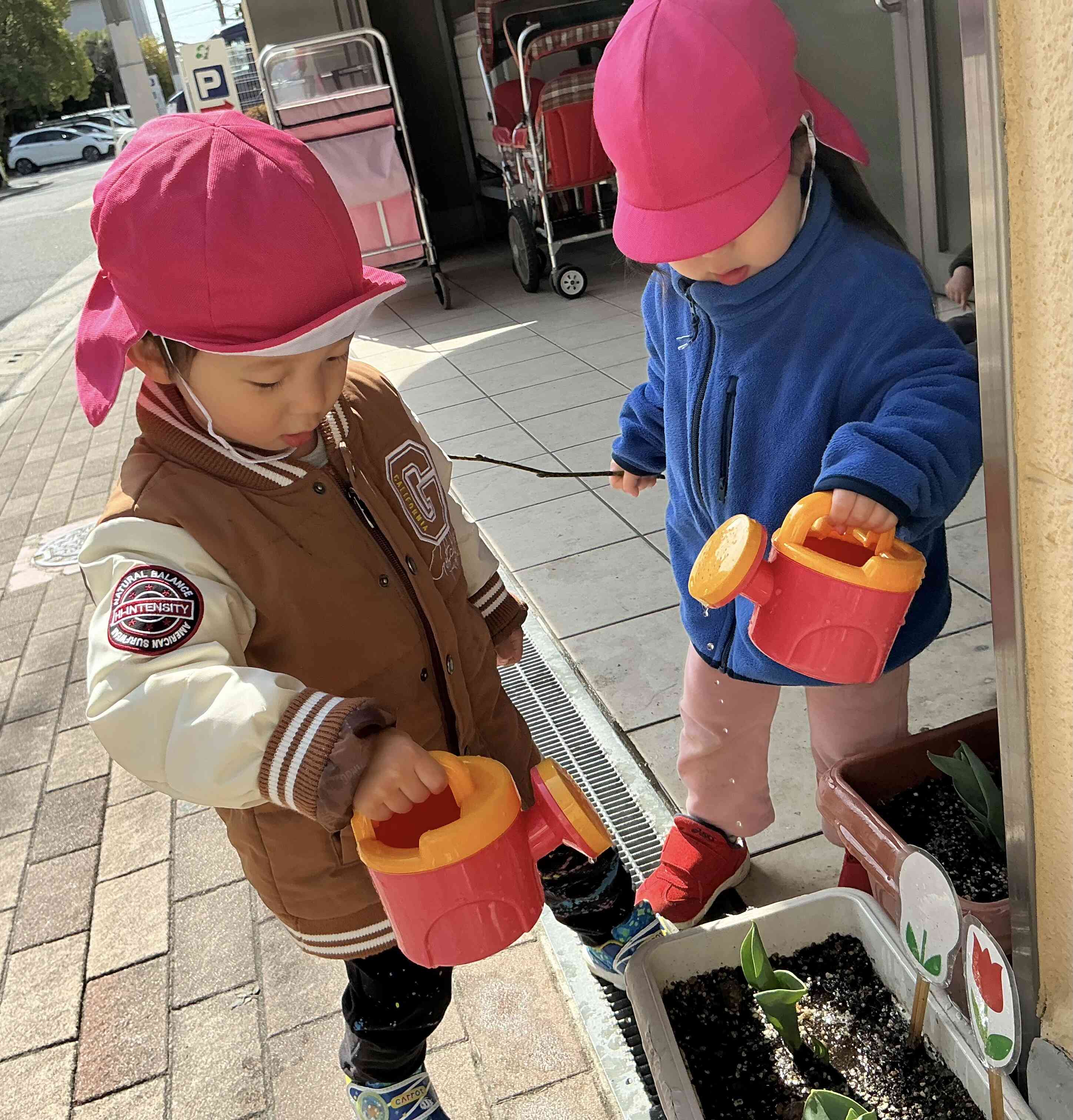 早く大きくなーれ！