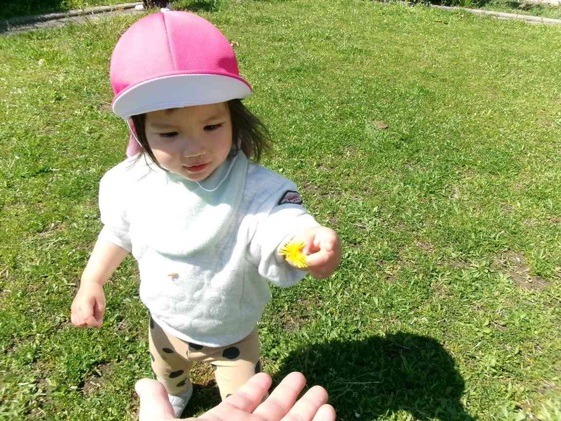 たんぽぽみ～つけた！