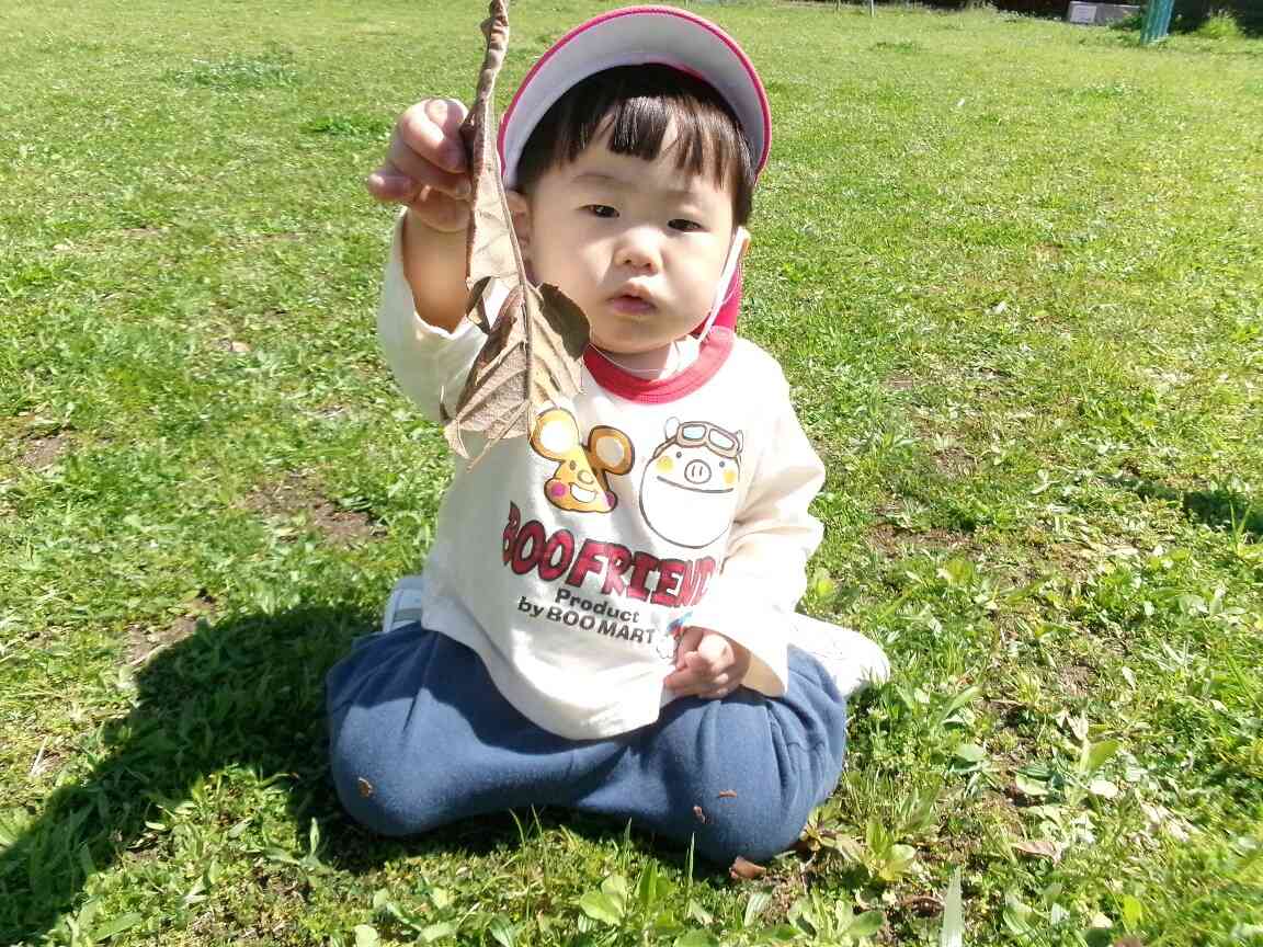 大きい葉っぱだね！