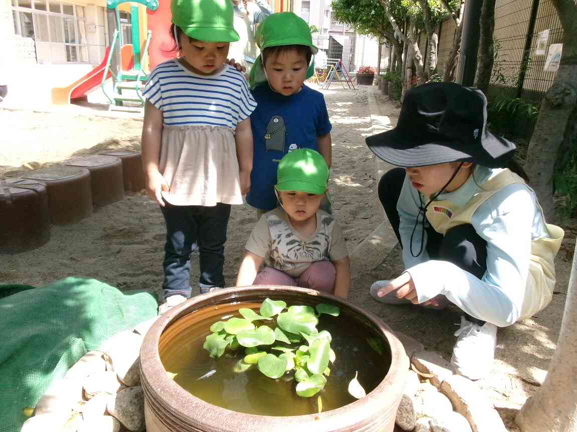 アンパス保育園に行ったよ～