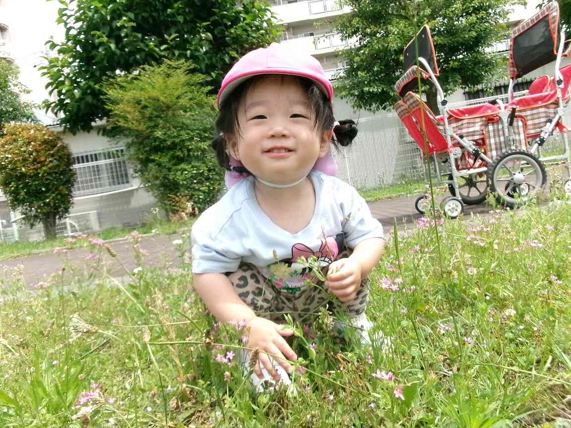 お花みつけたよ！