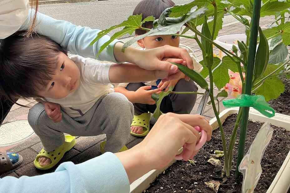 今日の１日☆