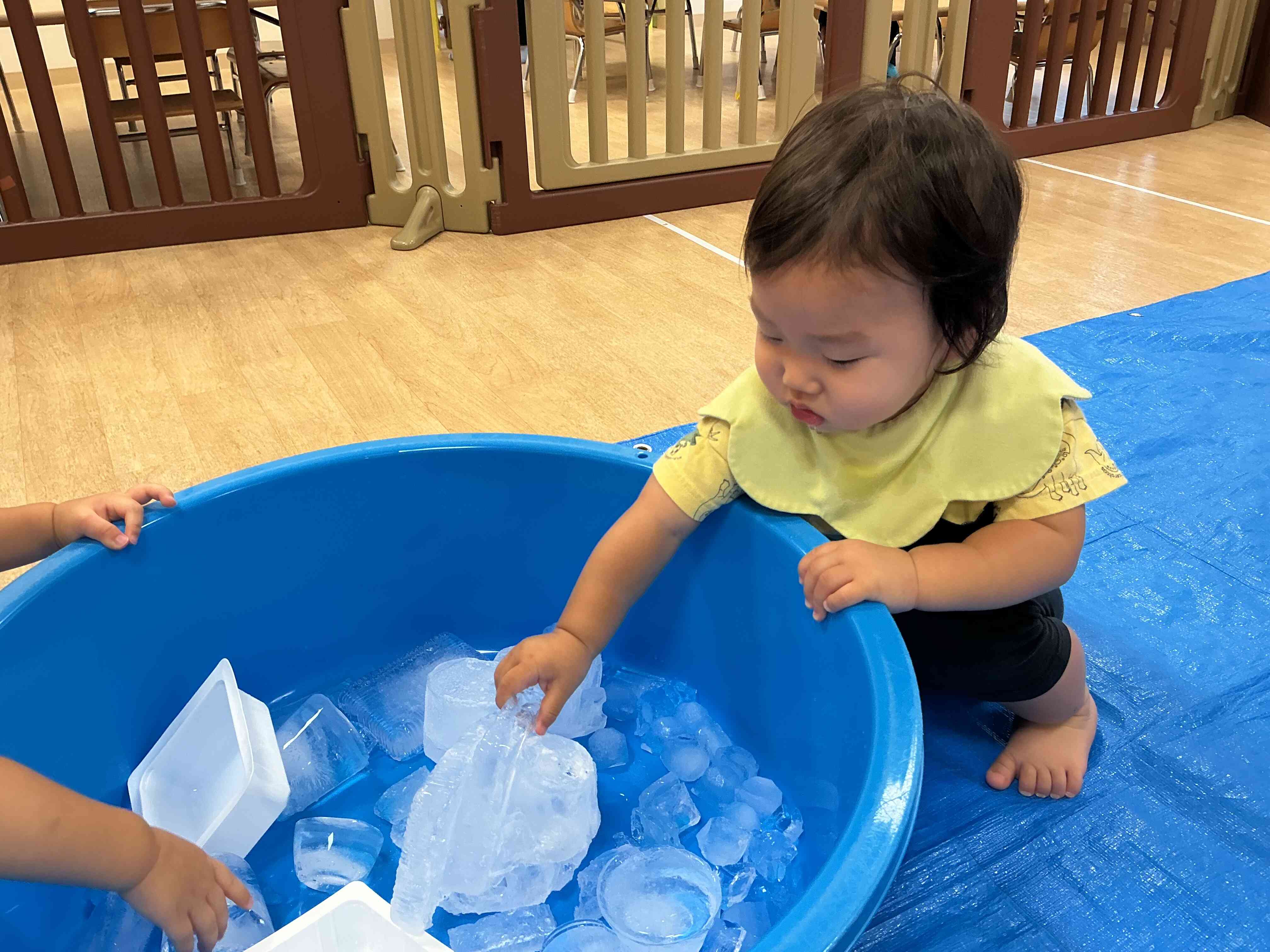 大きい氷掴むぞ〜！