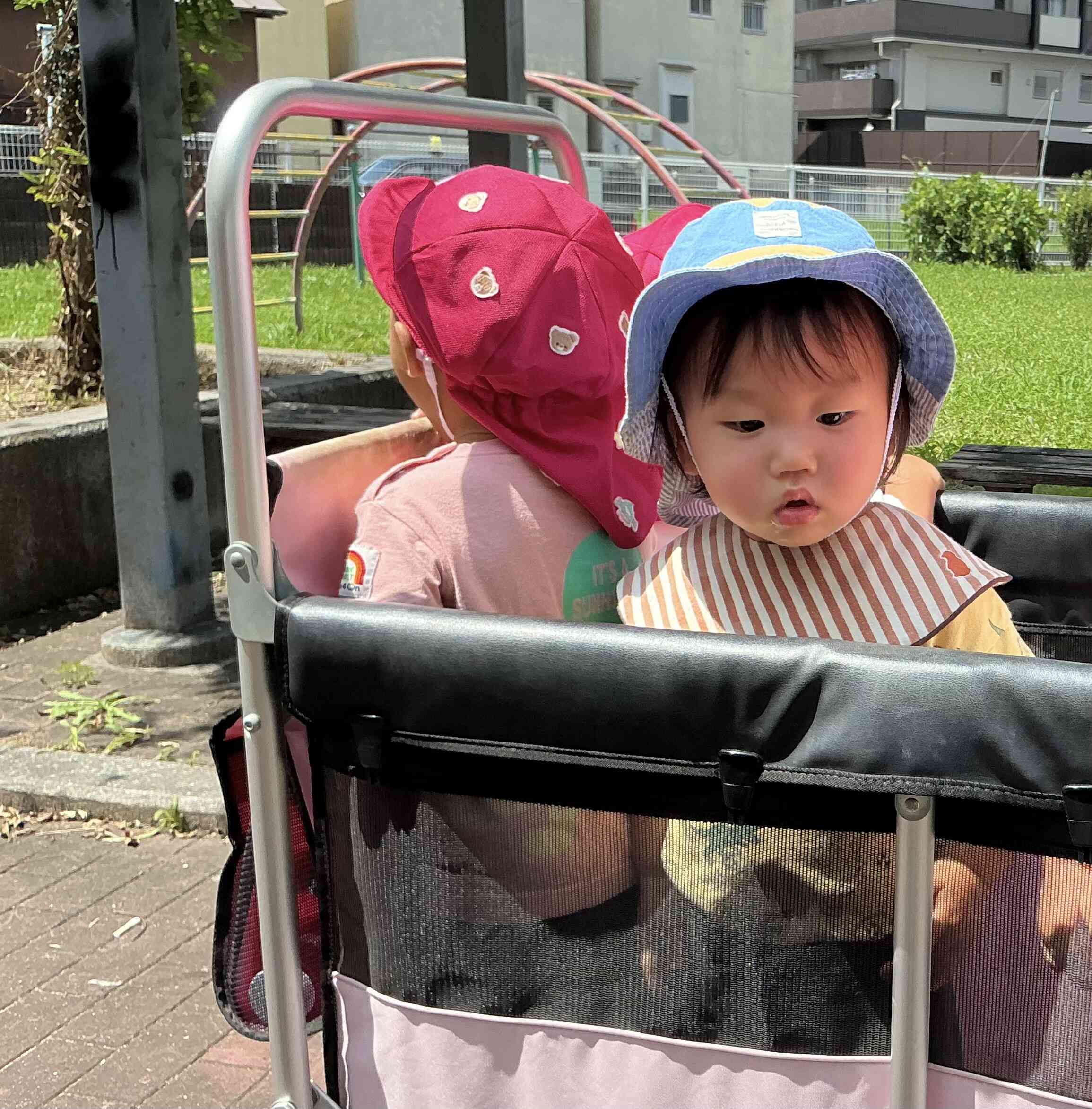 じっーと見つめている先には、、、虫さん発見!