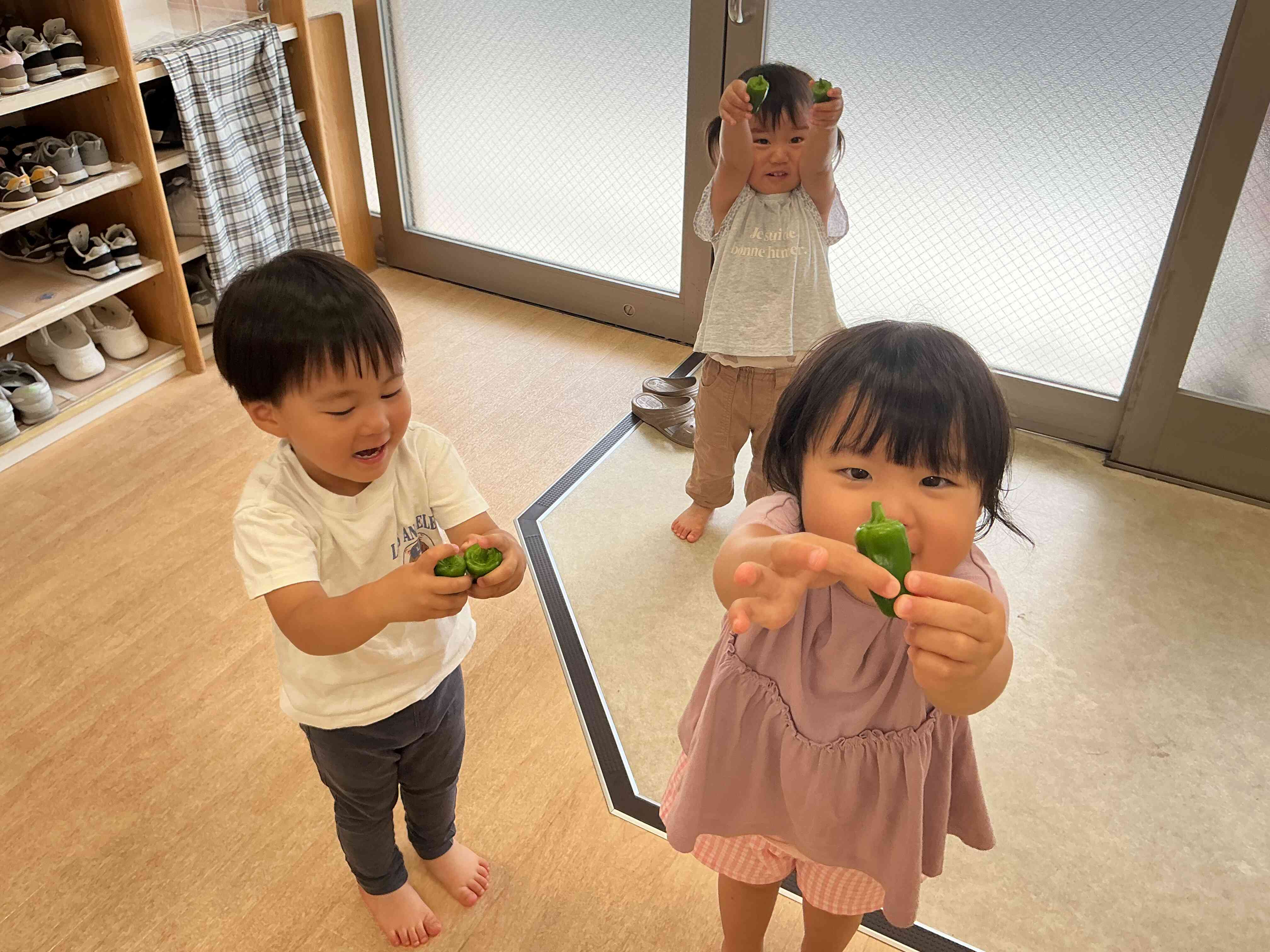 ピーマン取れたよ〜！収穫できて嬉しそうなうさぎ組さん♪