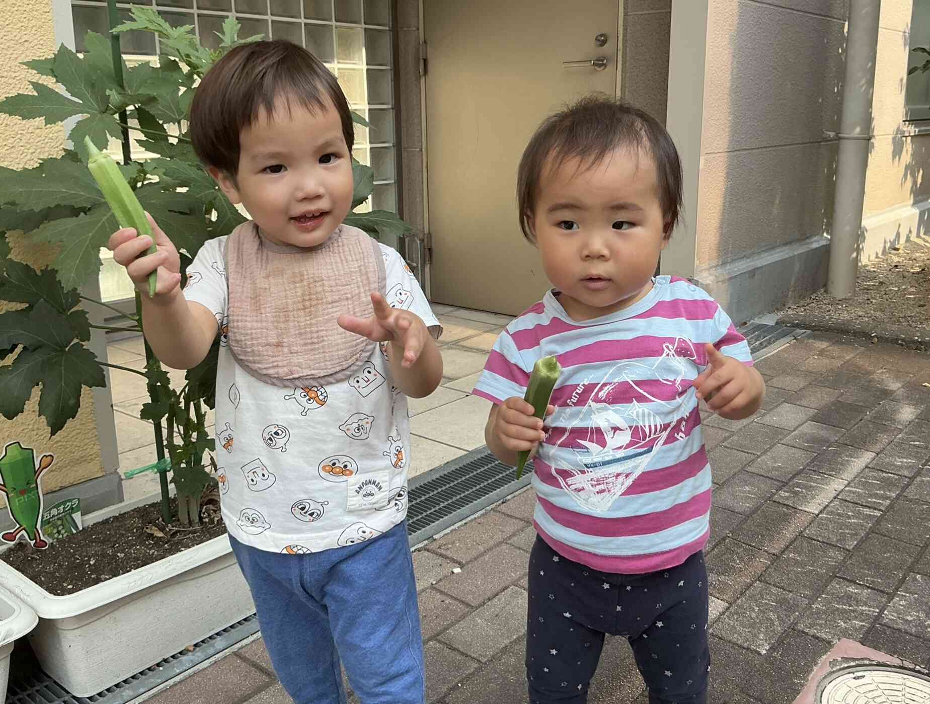 収穫したよ〜!