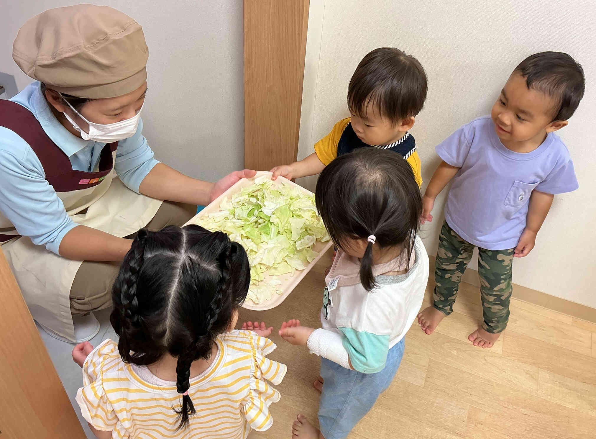 キャベツに触れたよー！